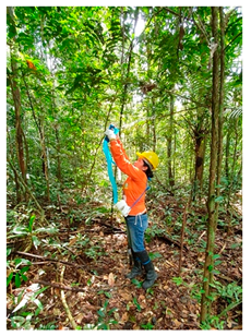 Sustainability 15 15147 i005 Sustainability 15 15147 i005