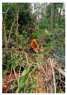 Sustainability 15 15147 i006 Sustainability 15 15147 i006