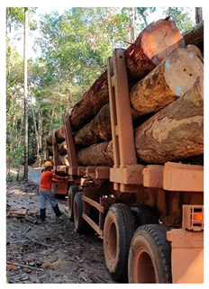 Sustainability 15 15147 i009 Sustainability 15 15147 i009