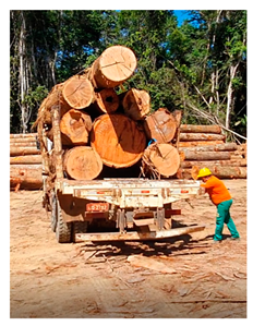 Sustainability 15 15147 i010 Sustainability 15 15147 i010