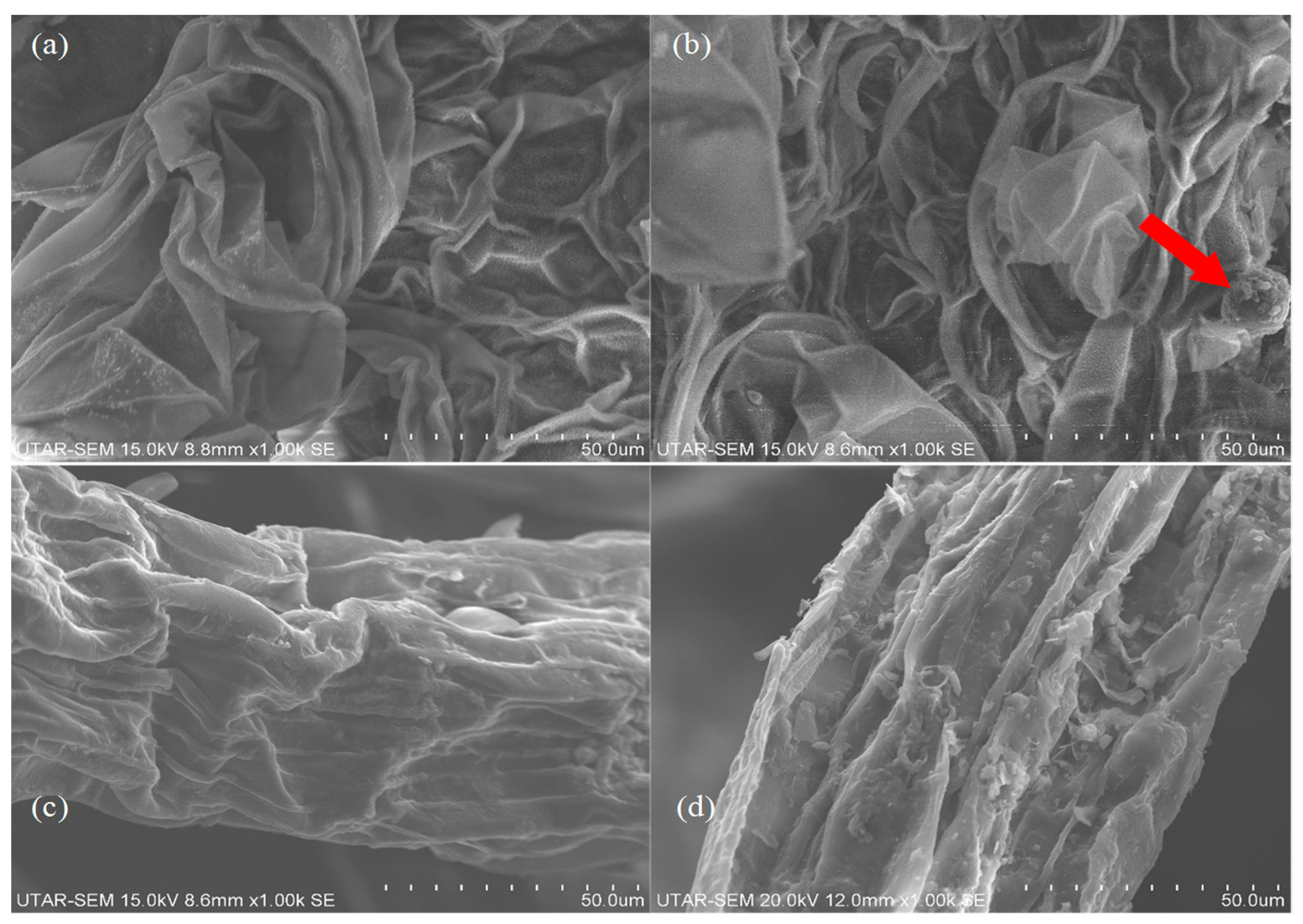 Sustainability 15 15170 g003