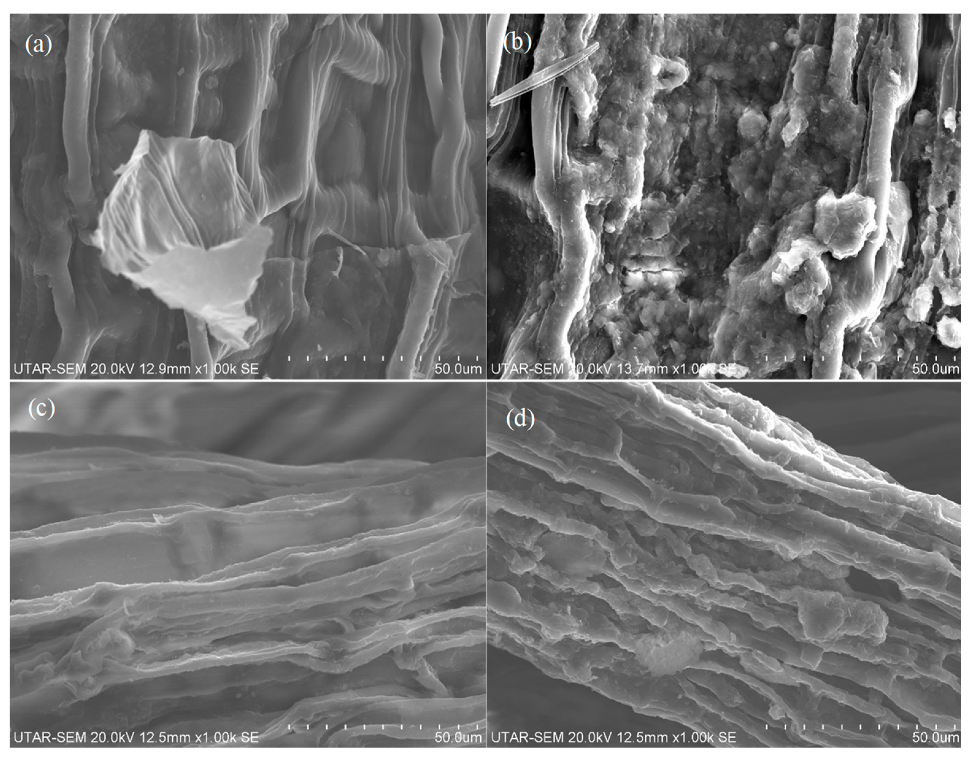 Sustainability 15 15170 g004