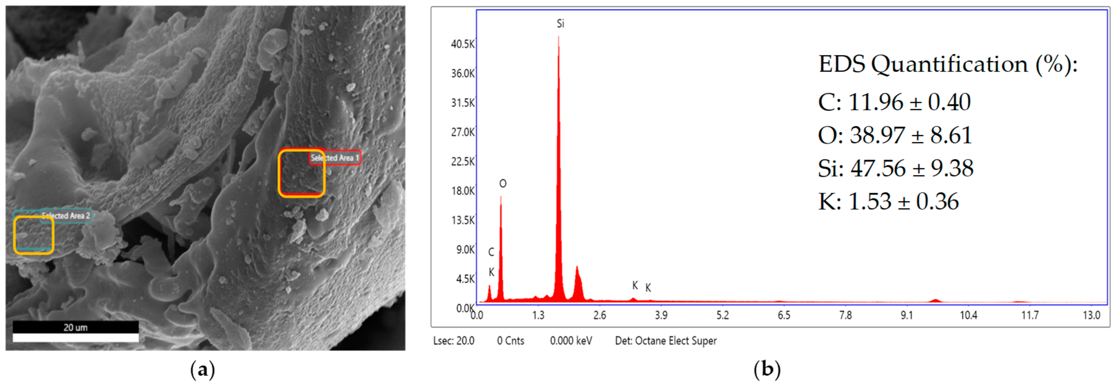 Sustainability 15 15218 g002