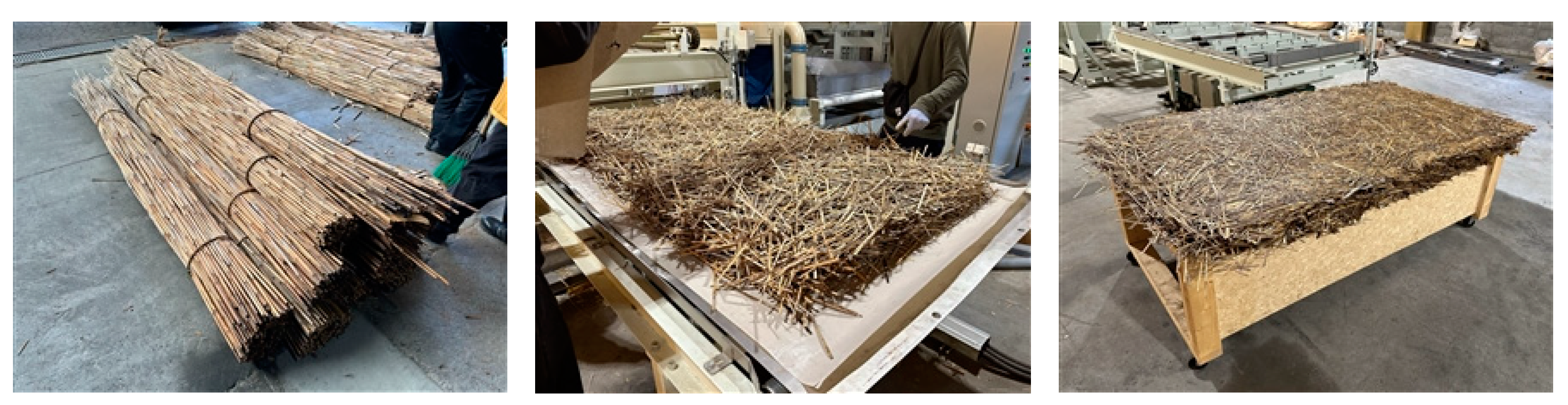 Sustainability 15 15230 g001 Sustainability 15 15230 g001