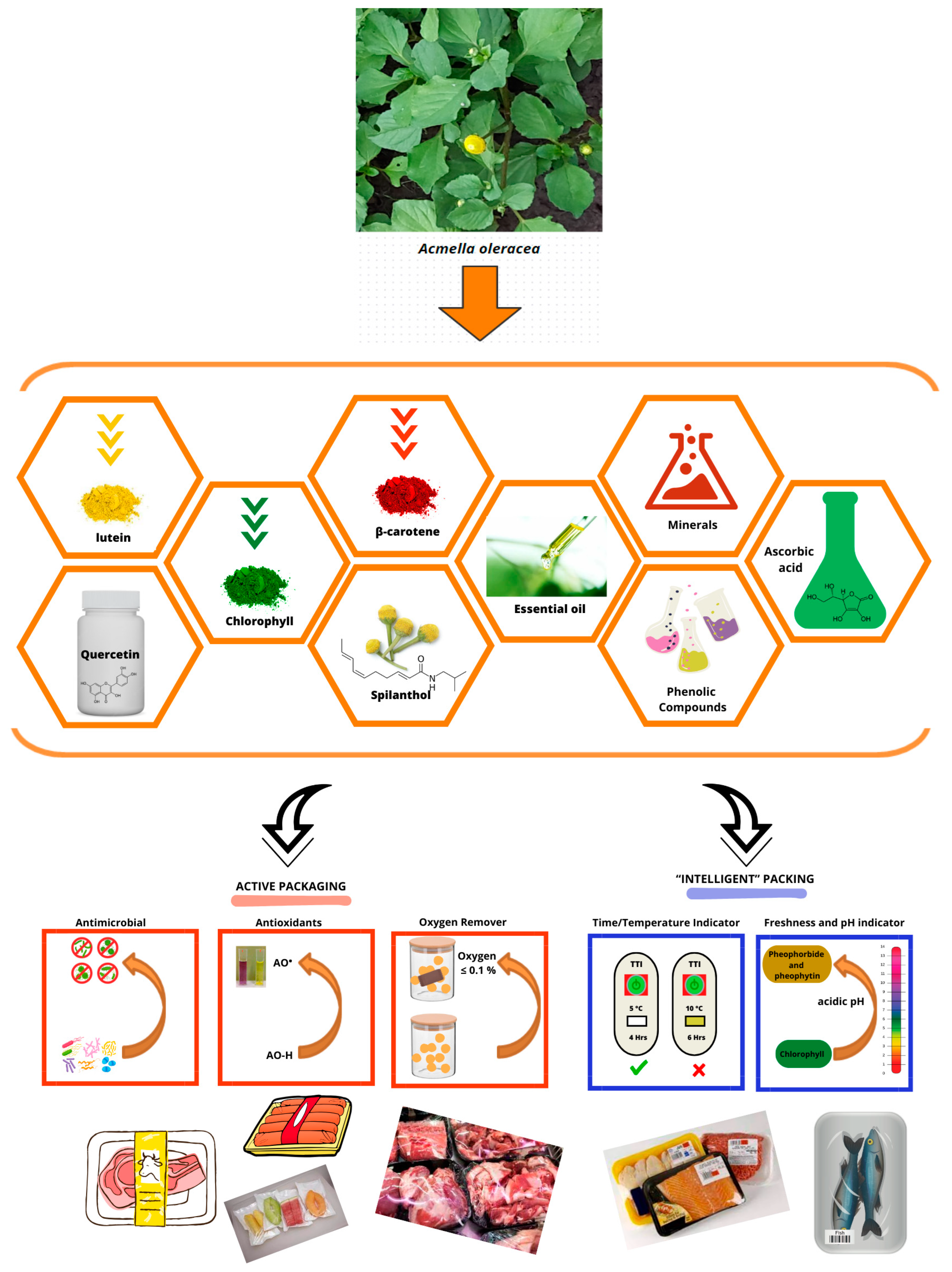 Sustainability 15 15231 g003
