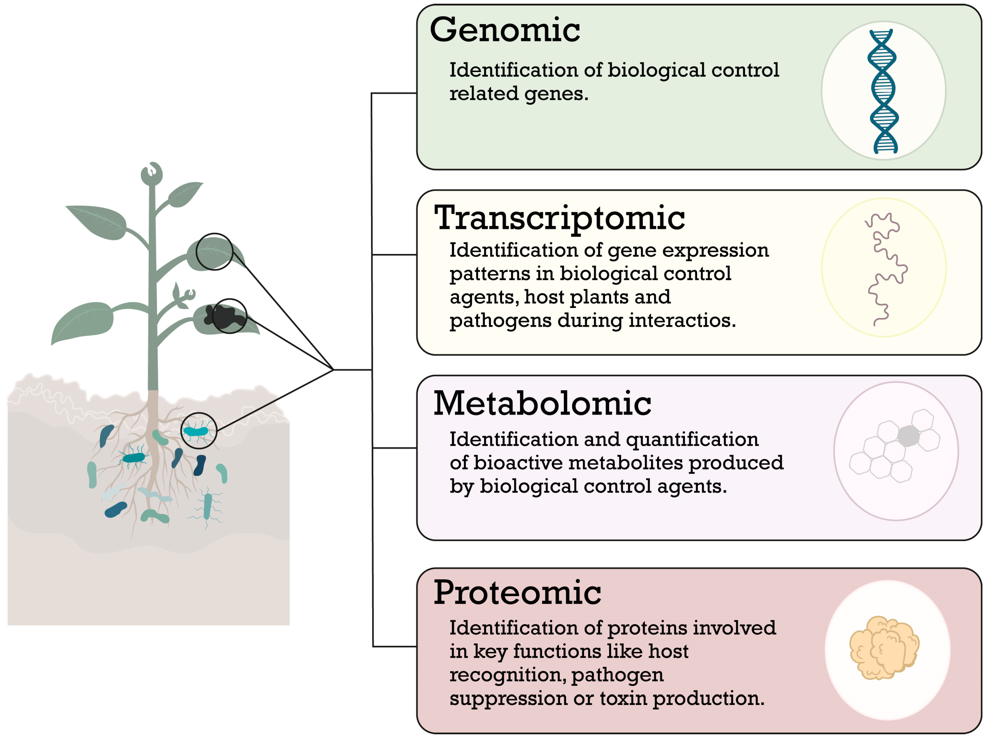 Sustainability 15 15250 g002