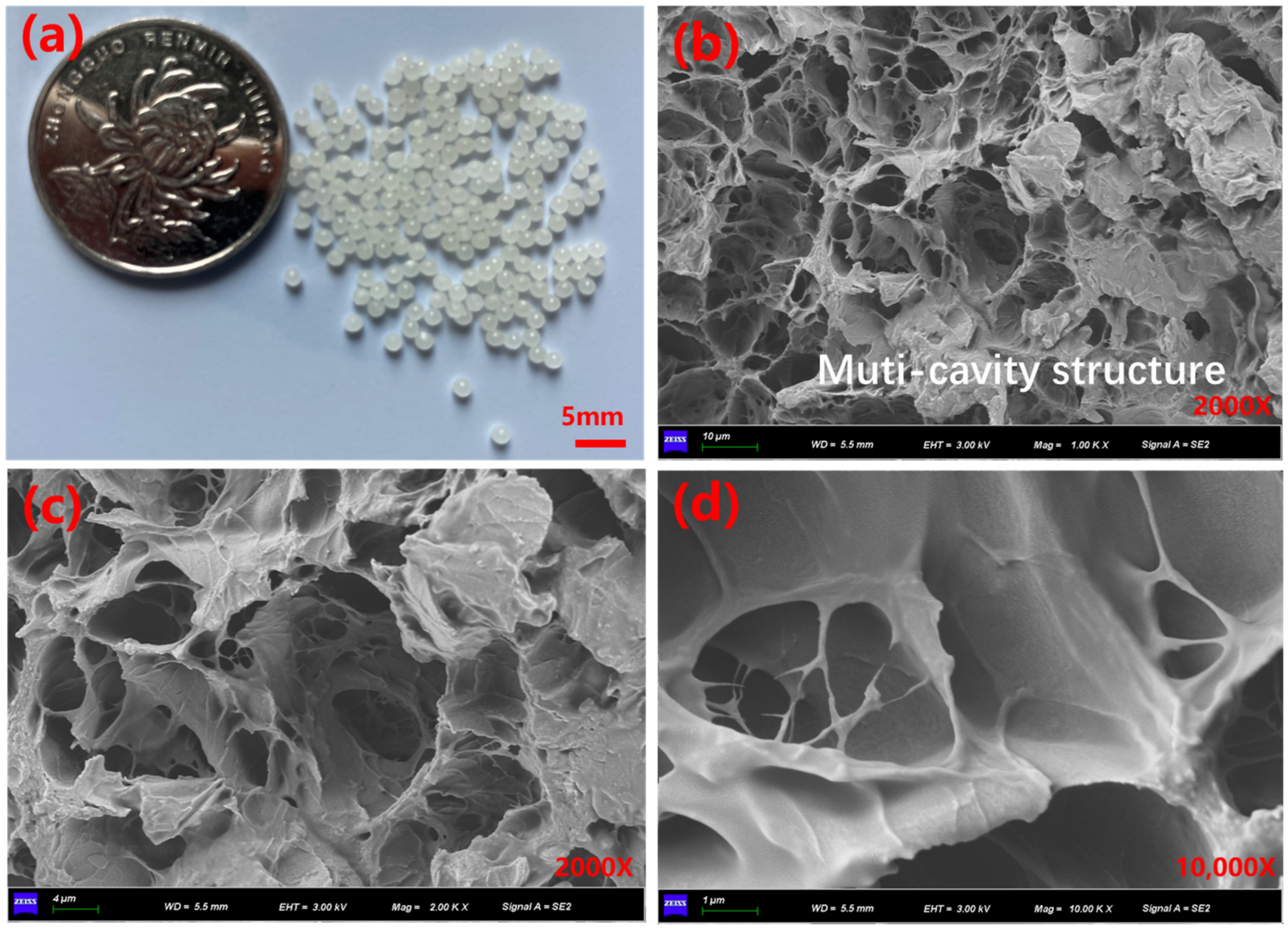 Sustainability 15 15258 g006