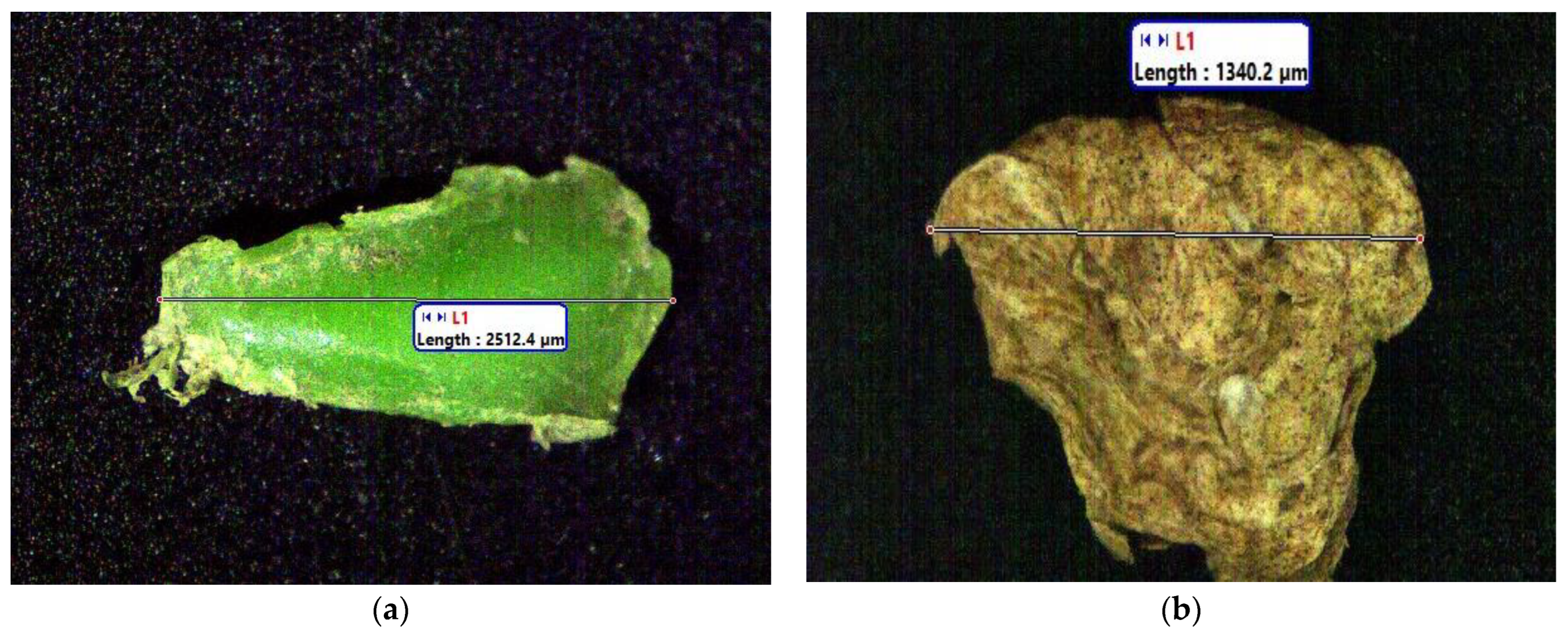 Sustainability 15 15259 g006a