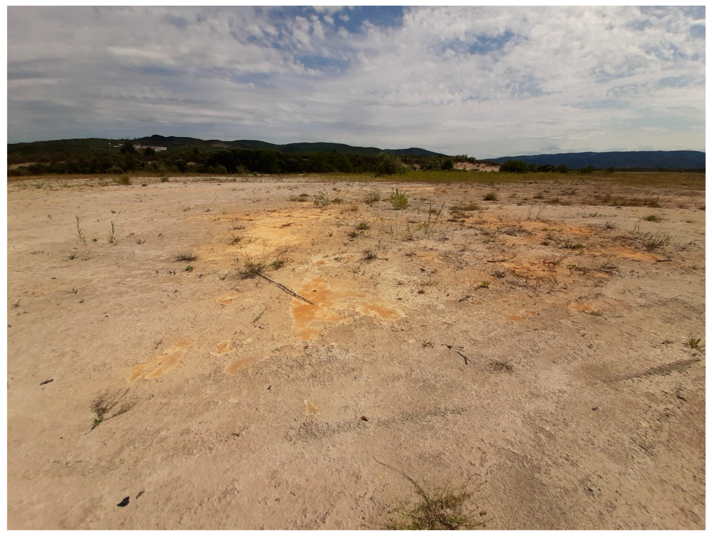 Sustainability 15 15293 g005