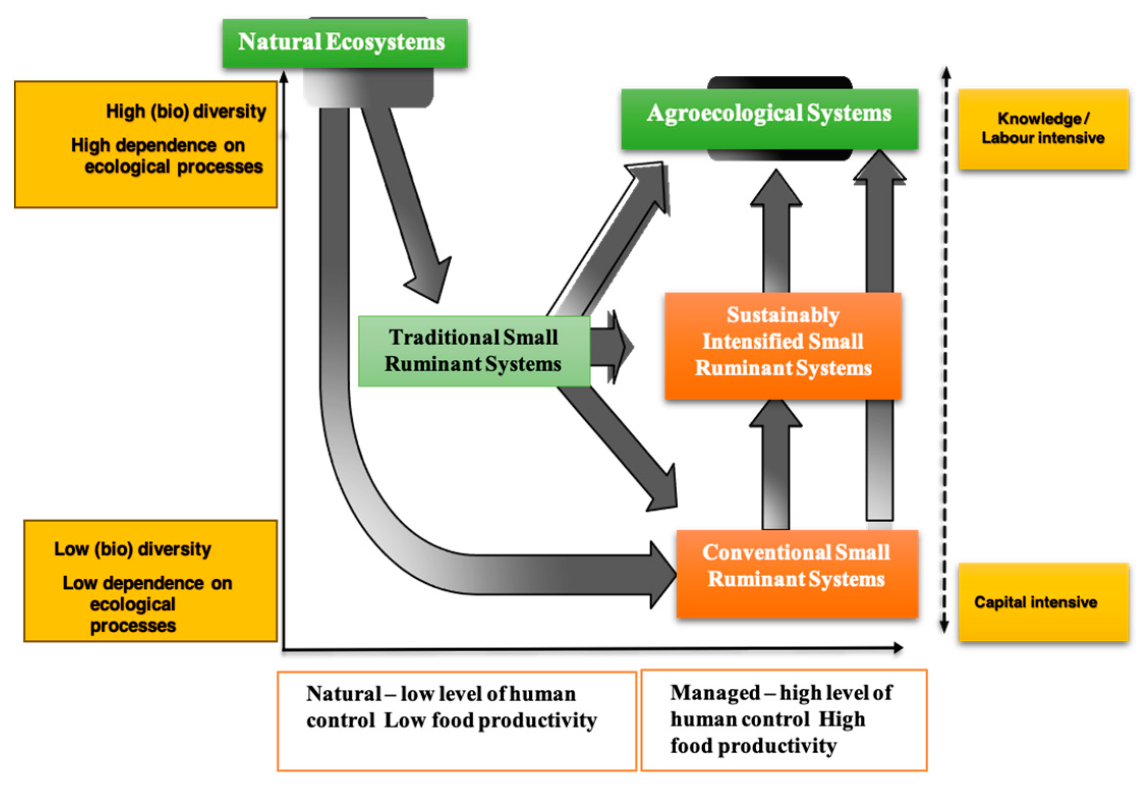 Sustainability 15 15326 g001 Sustainability 15 15326 g001