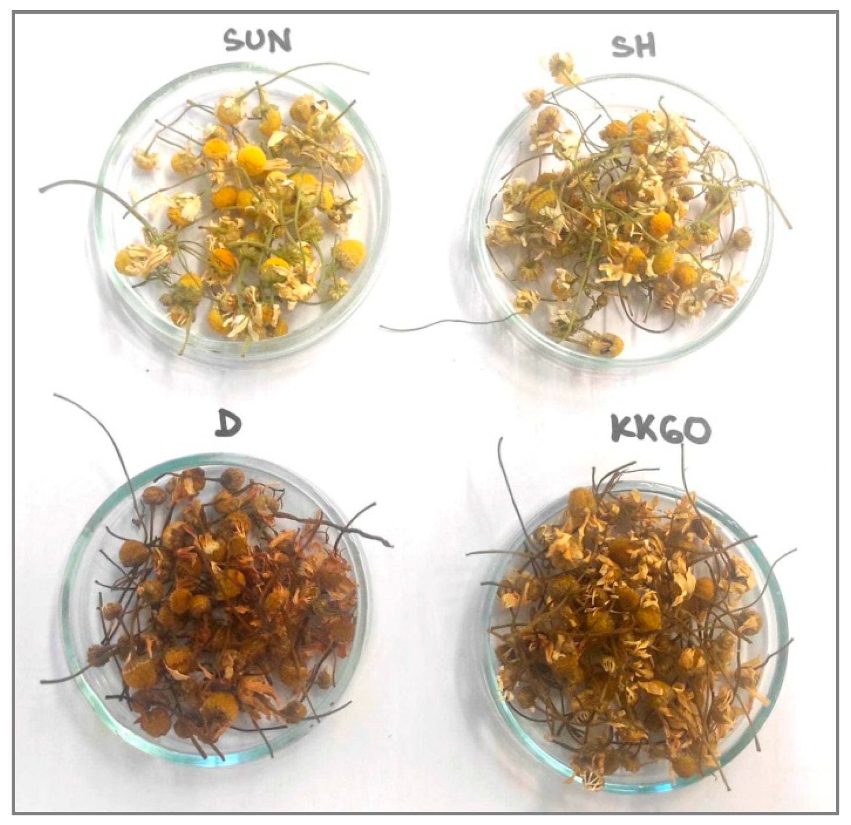 Sustainability 15 15373 g002