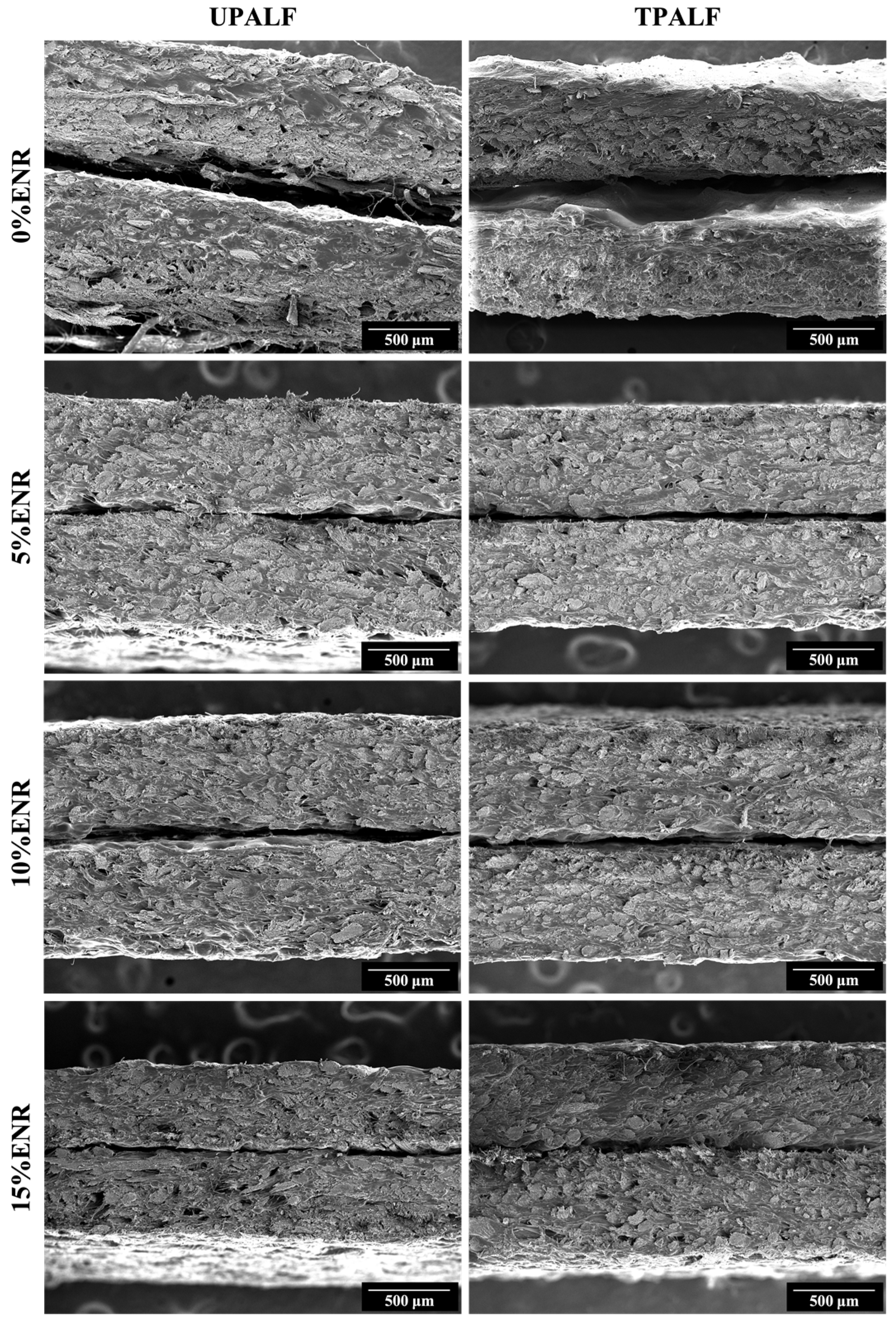 Sustainability 15 15400 g008