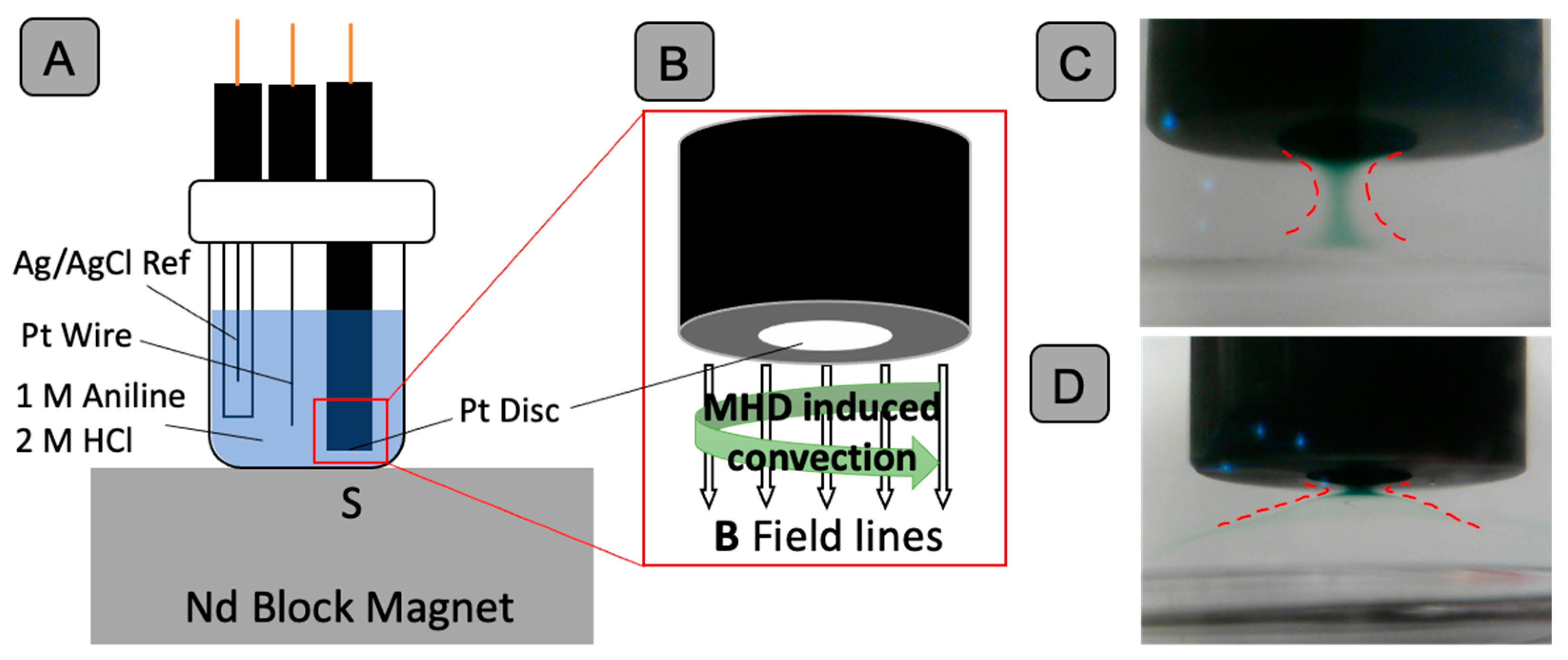 Sustainability 15 15419 g001