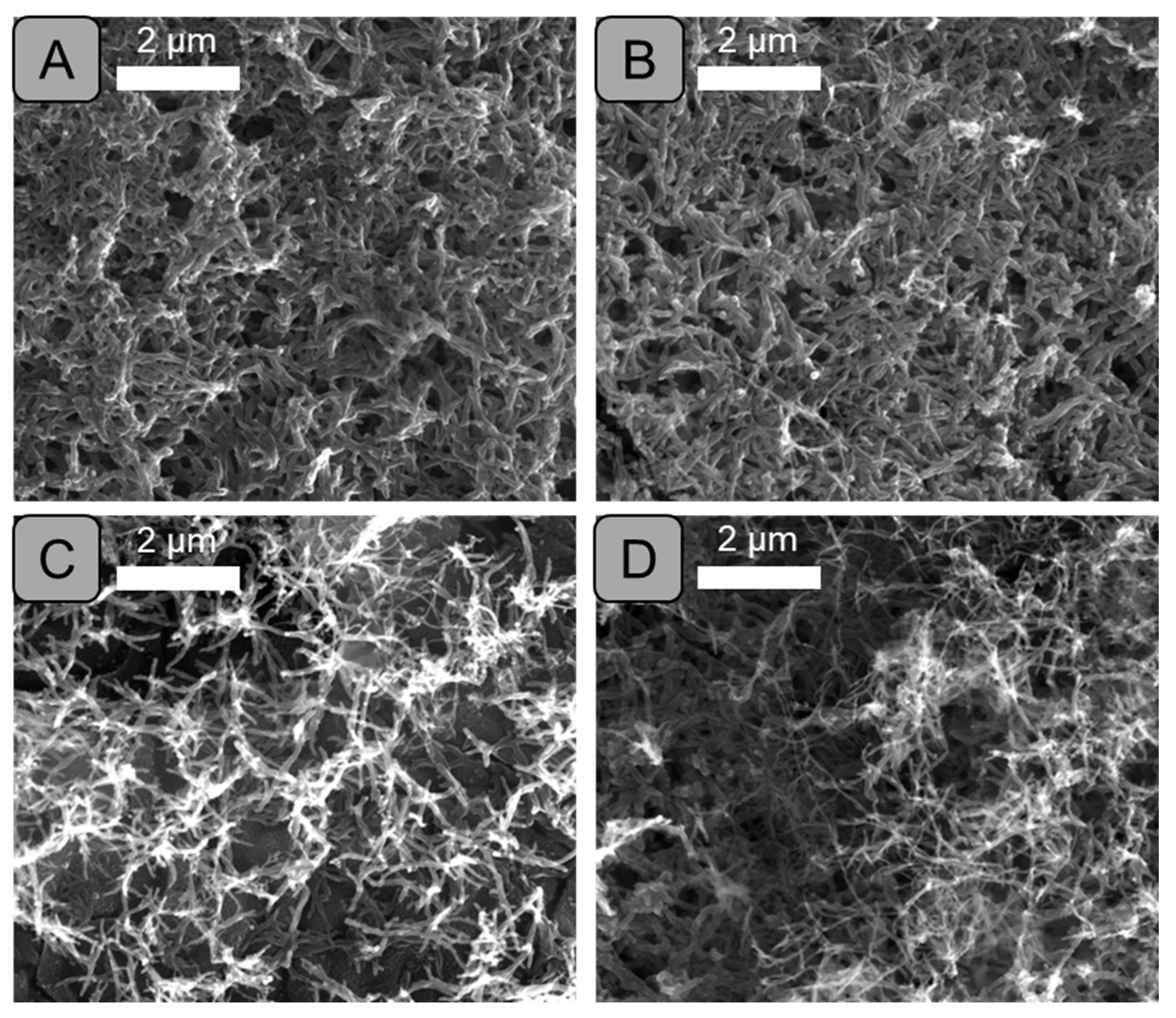 Sustainability 15 15419 g007