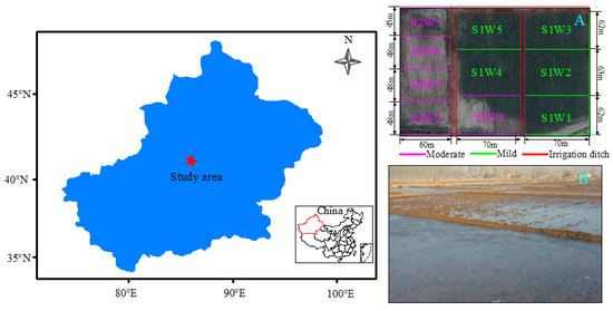 The Influence of Winter Irrigation Amount on the Characteristics 