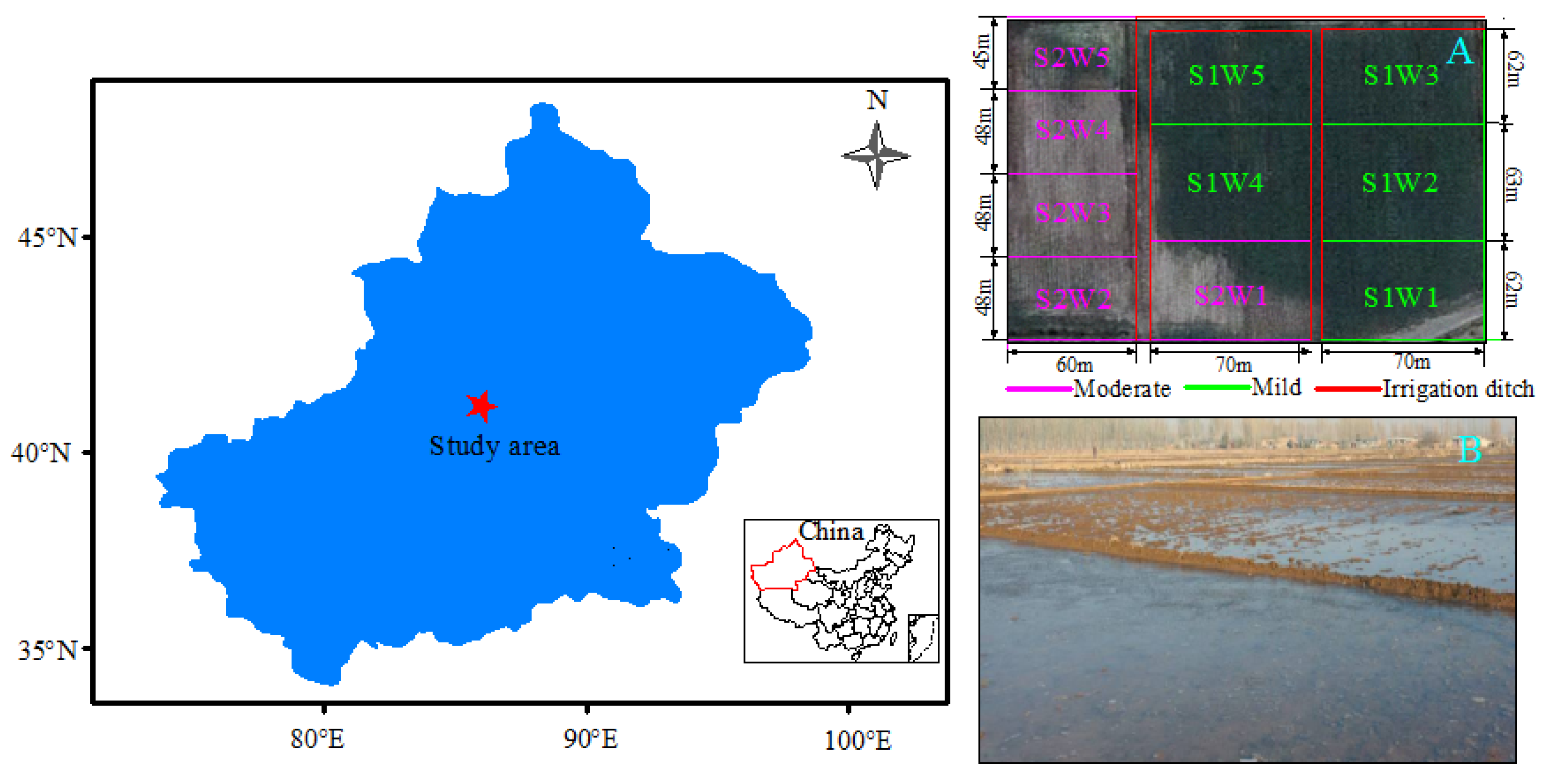 The Influence of Winter Irrigation Amount on the Characteristics 