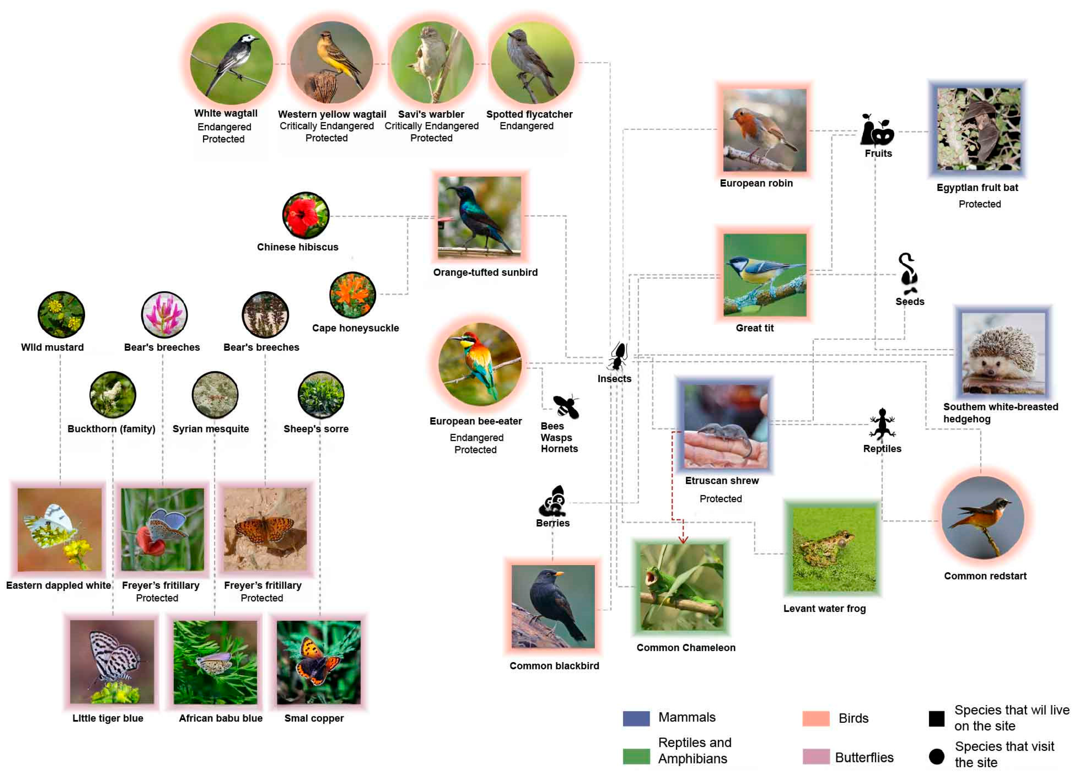 Sustainability 15 15480 g007