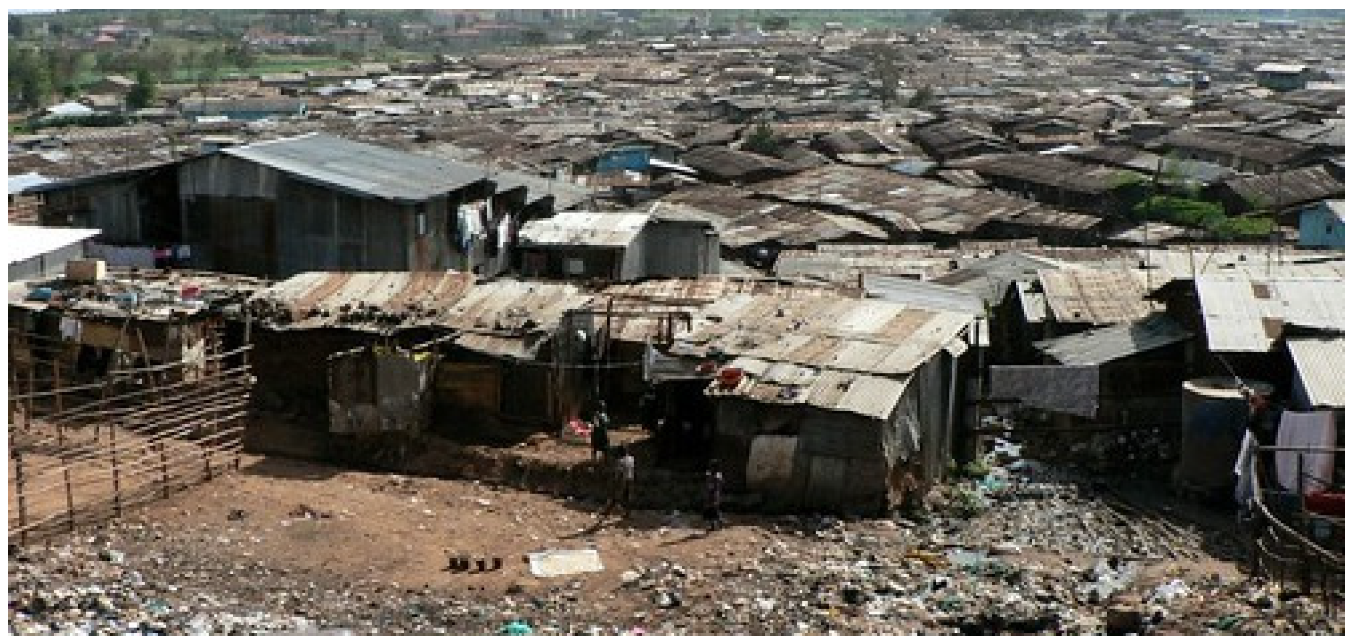 Sustainability 15 15497 g005