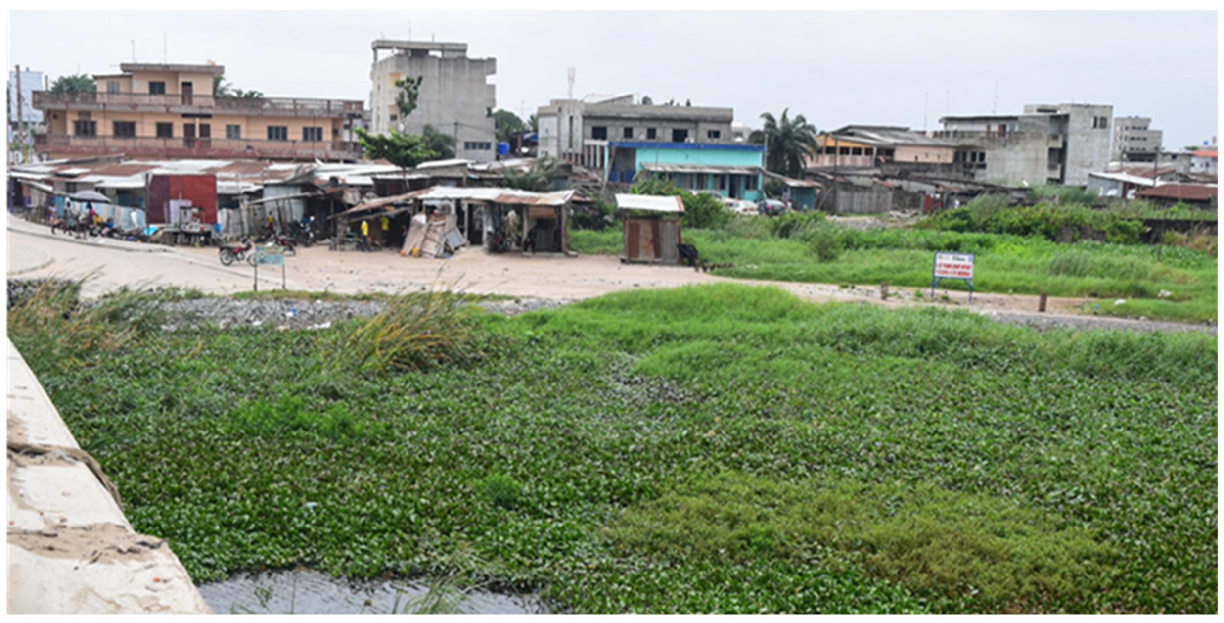 Sustainability 15 15497 g008