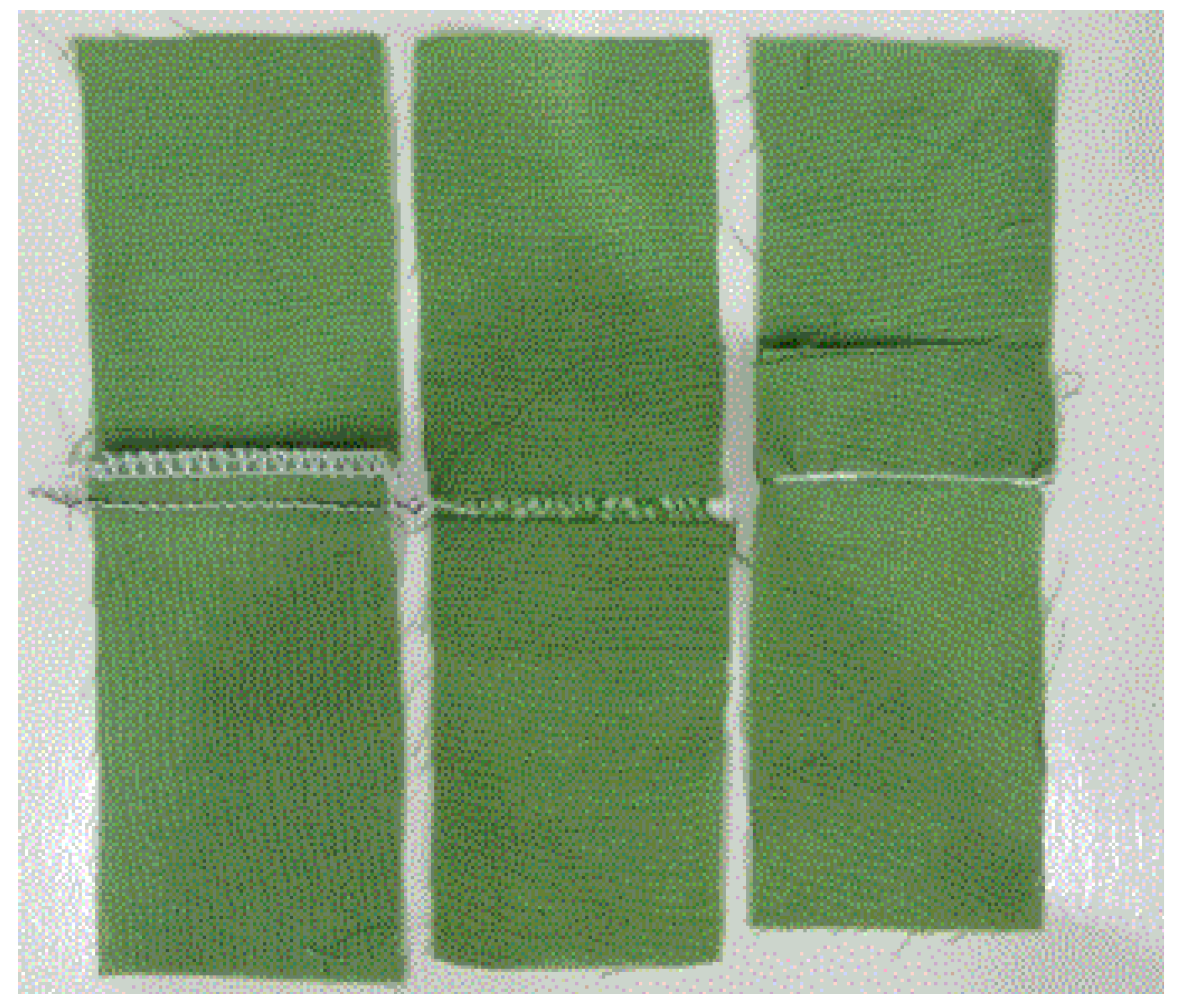 Sustainability 15 15505 g006