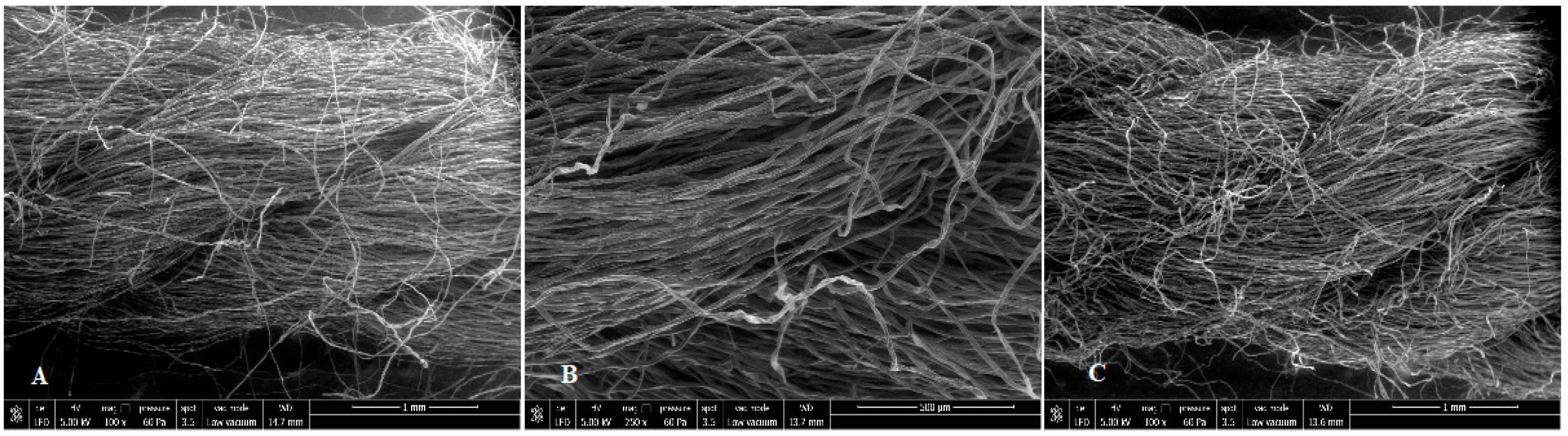 Sustainability 15 15592 g002