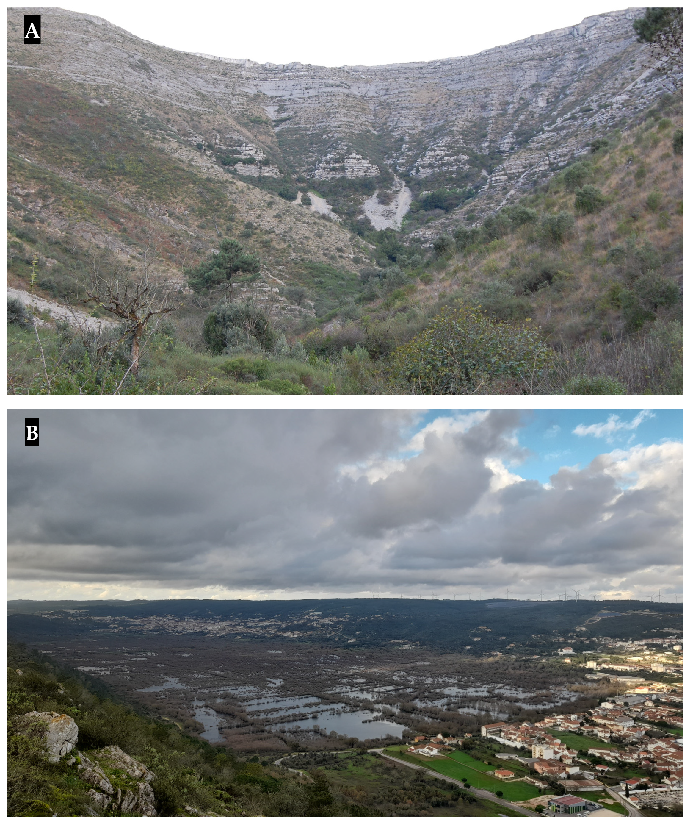 Sustainability 15 15599 g002