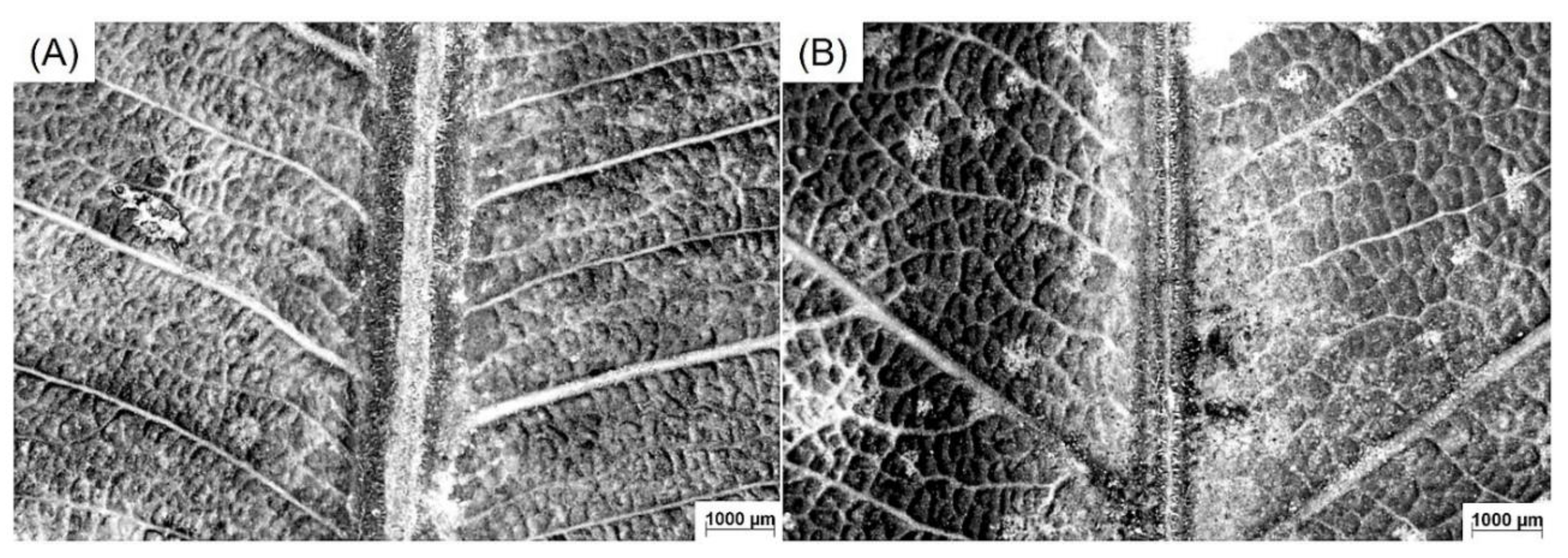 Sustainability 15 15606 g002