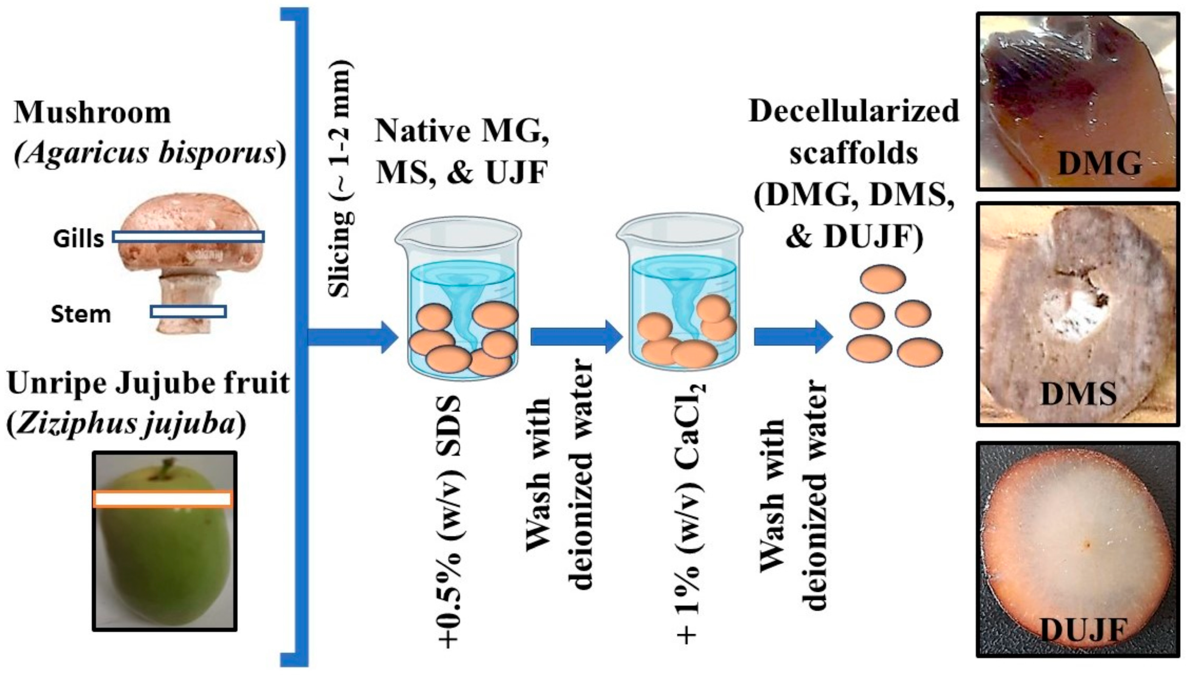 Sustainability 15 15618 g001