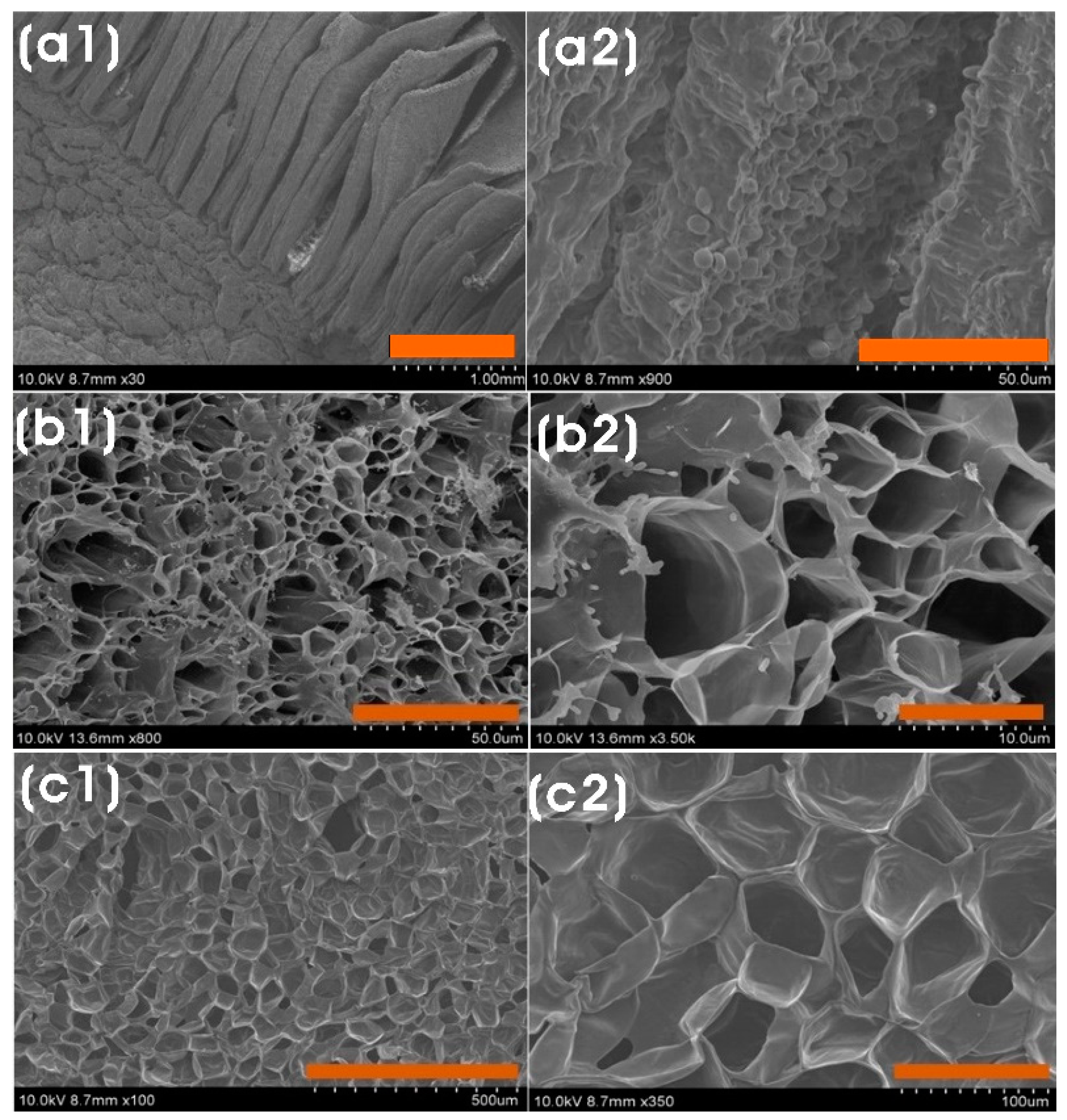 Sustainability 15 15618 g002