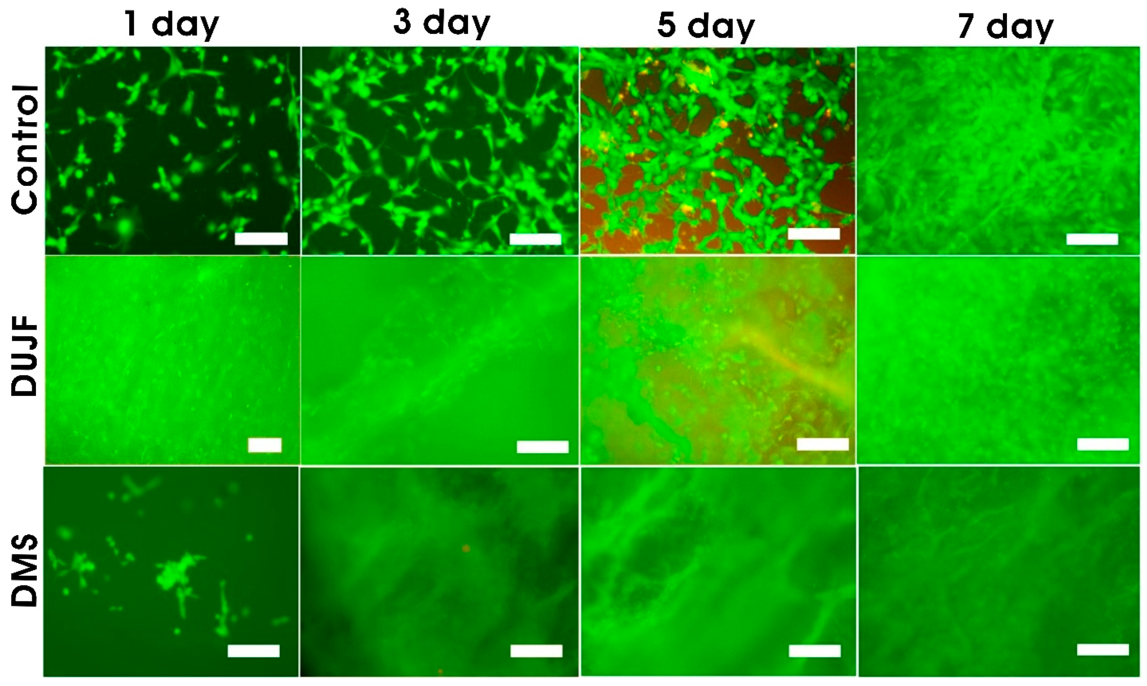 Sustainability 15 15618 g006
