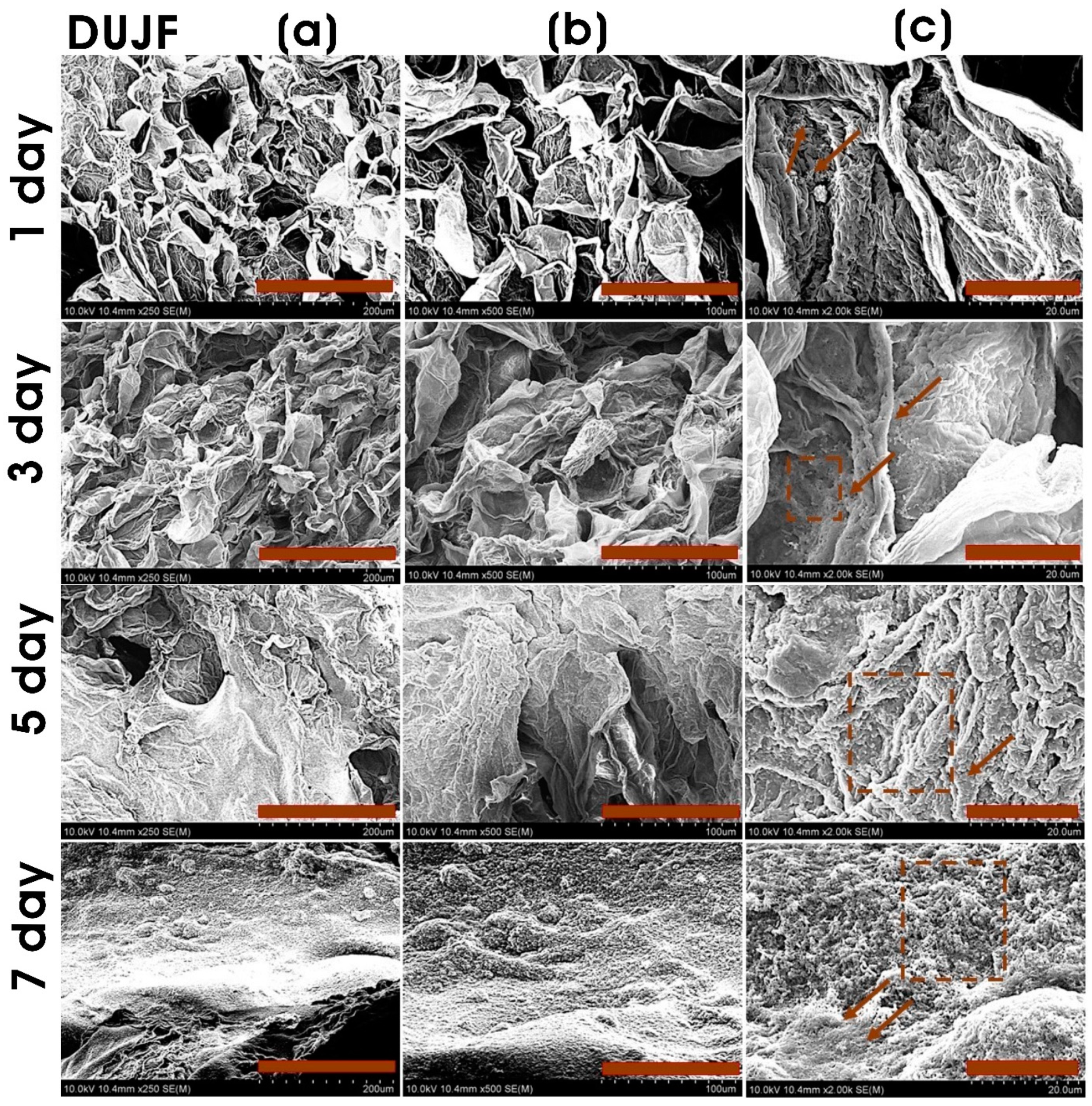 Sustainability 15 15618 g007