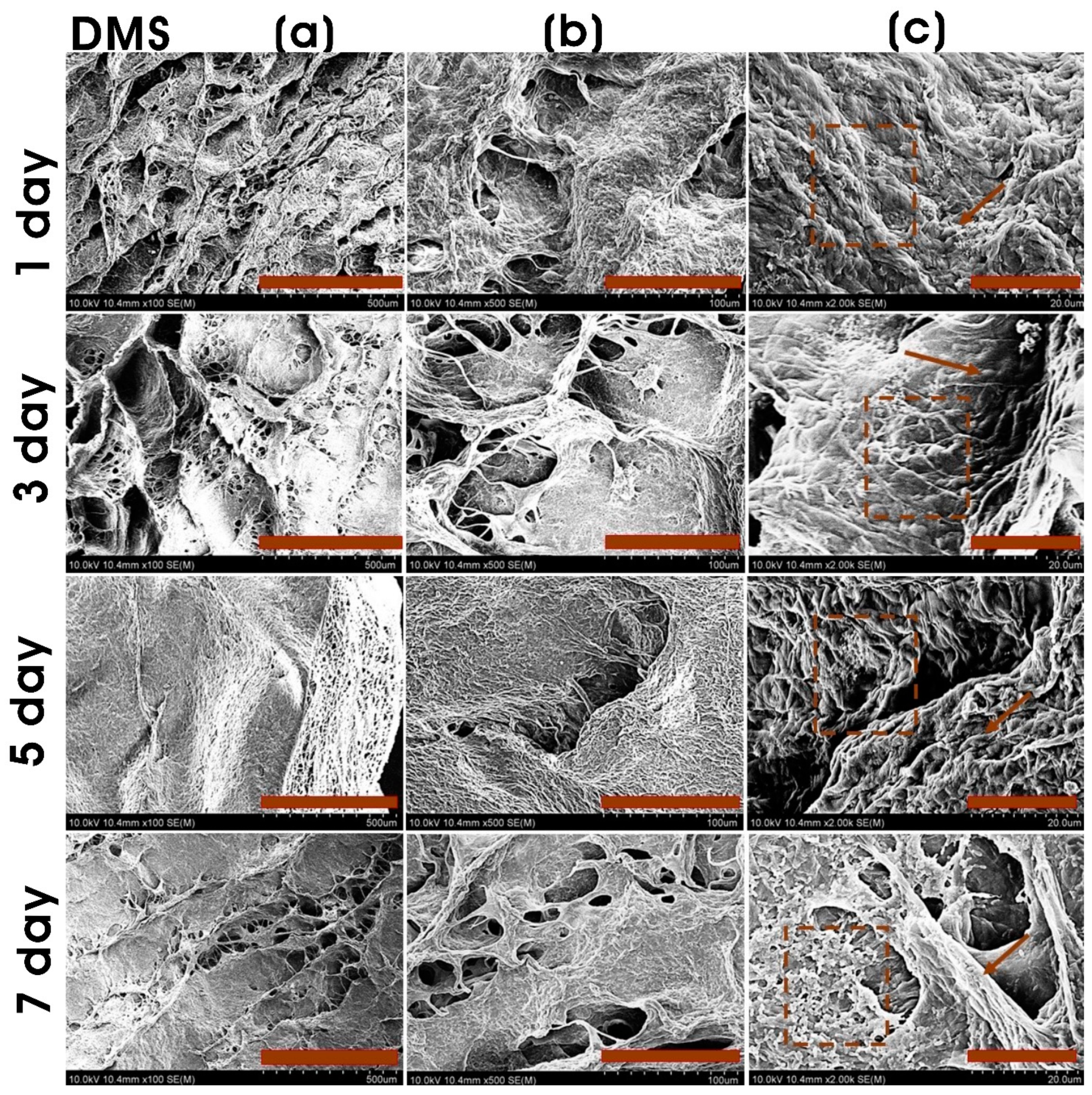 Sustainability 15 15618 g008