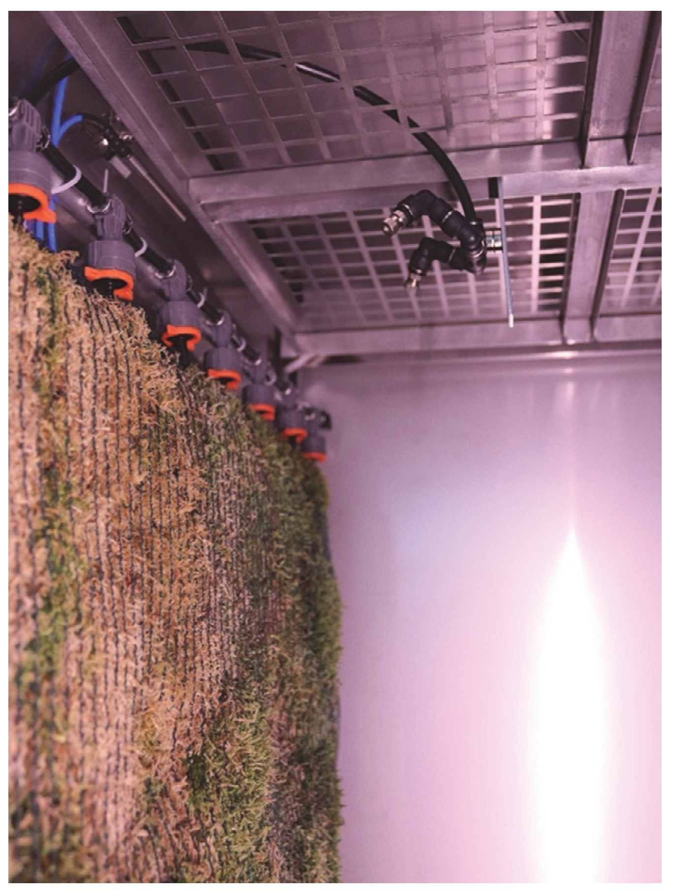 Sustainability 15 15625 g005