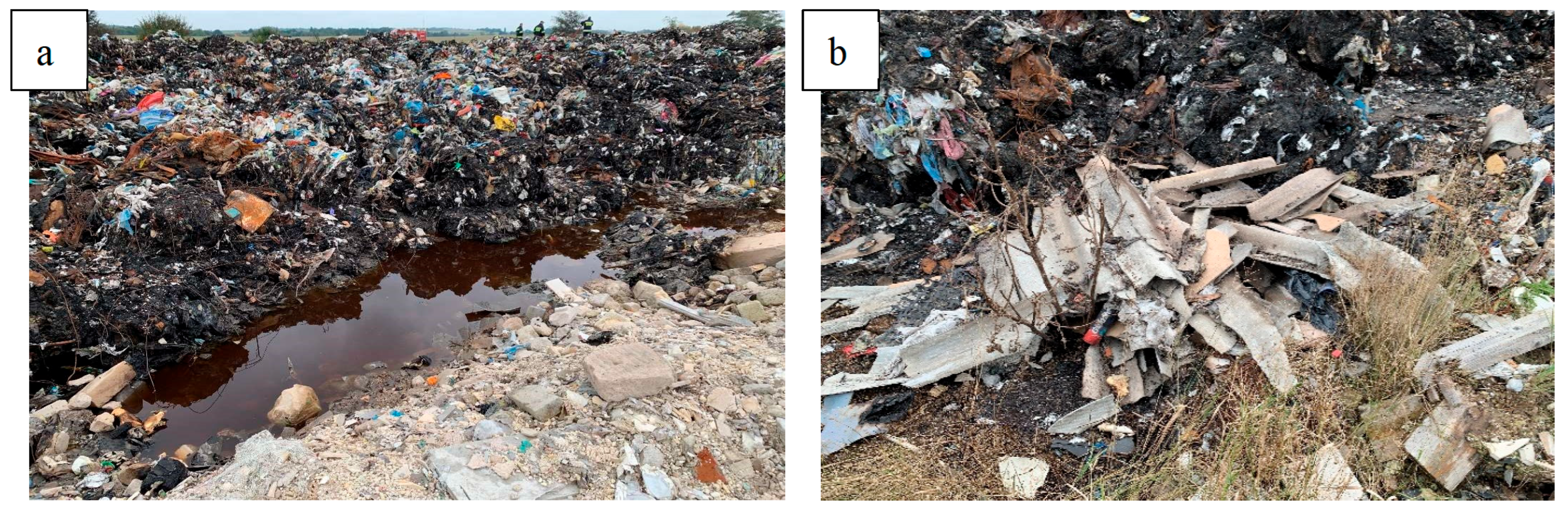 PDF) Trace Element Pollution of Soils Collected near a Municipal Solid  Waste Incinerator: Human Health Risk