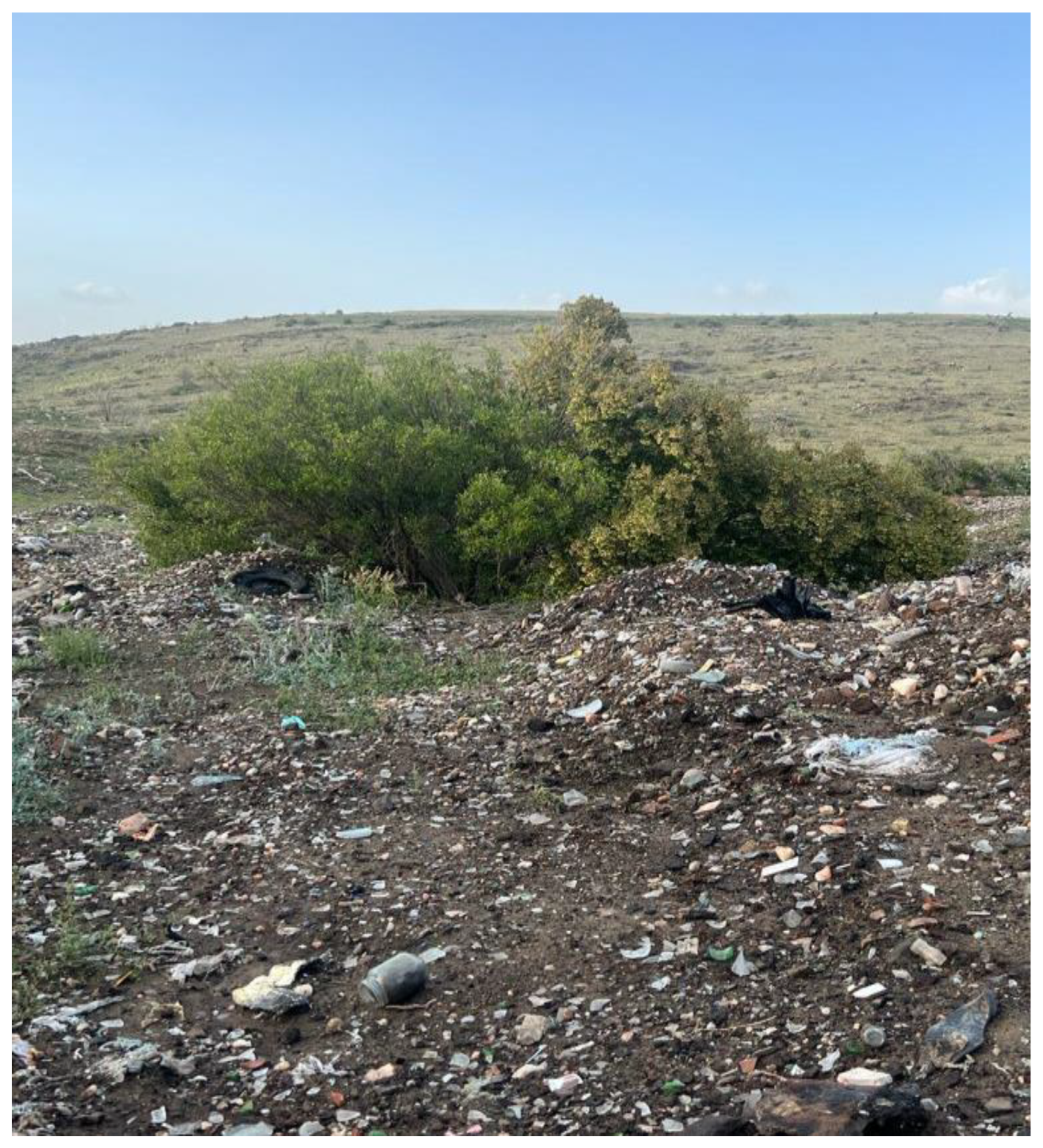 Sustainability 15 15646 g002