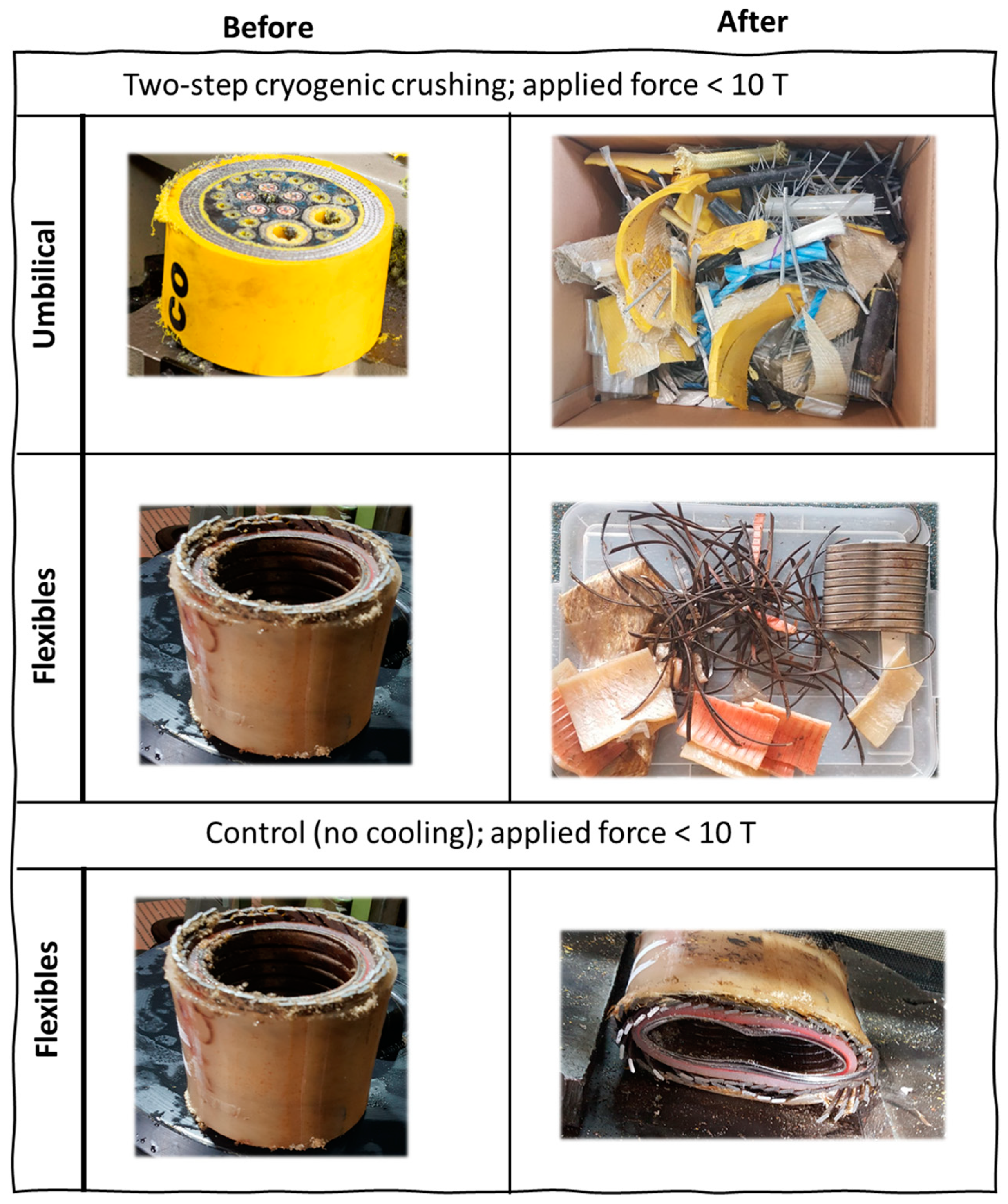 Sustainability 15 15651 g005