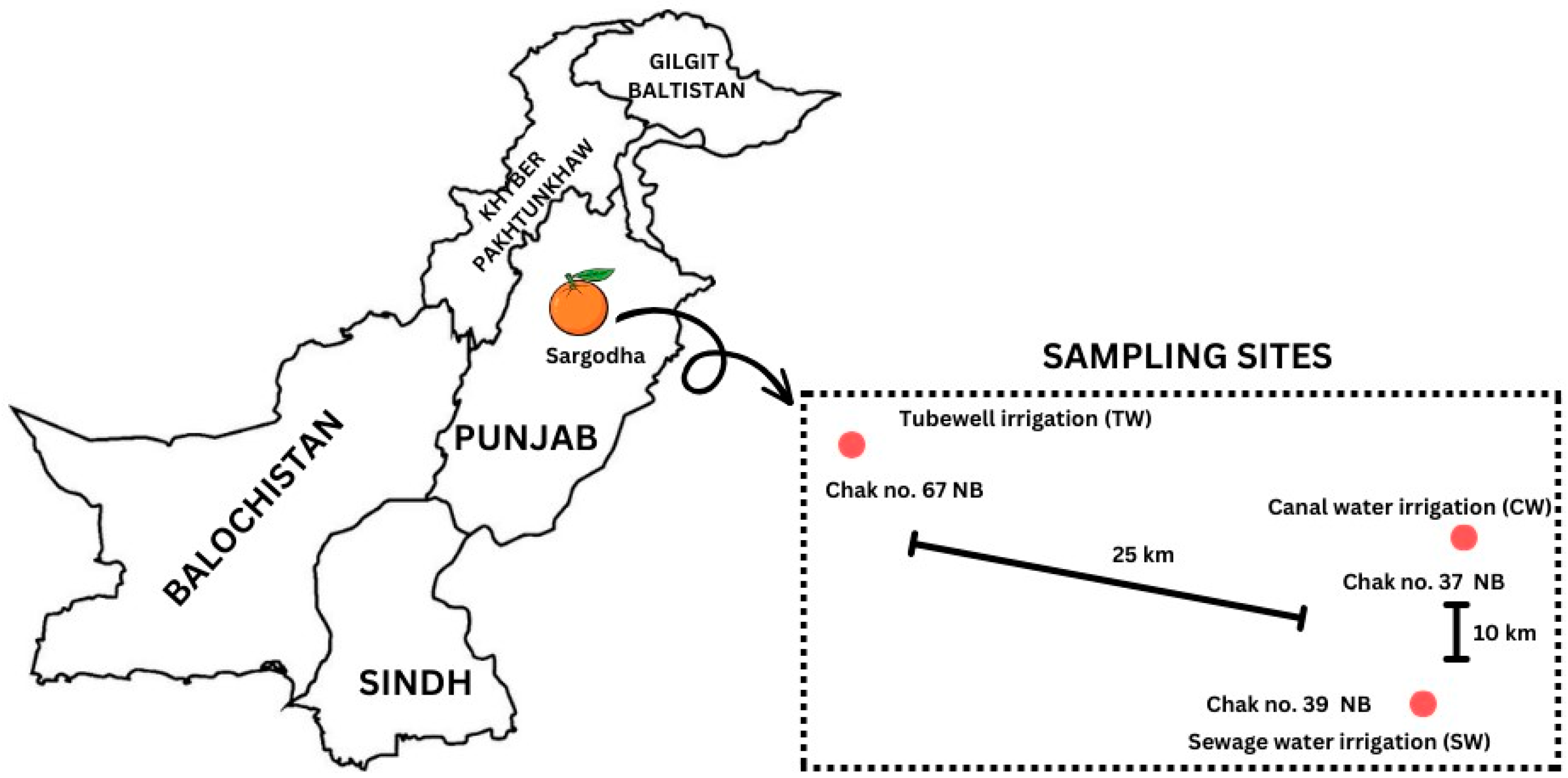 Sustainability 15 15696 g001