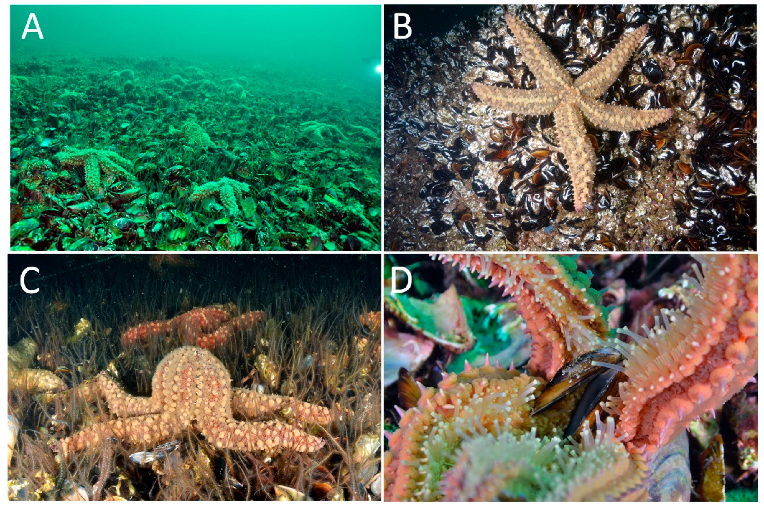 Sustainability 15 15719 g002