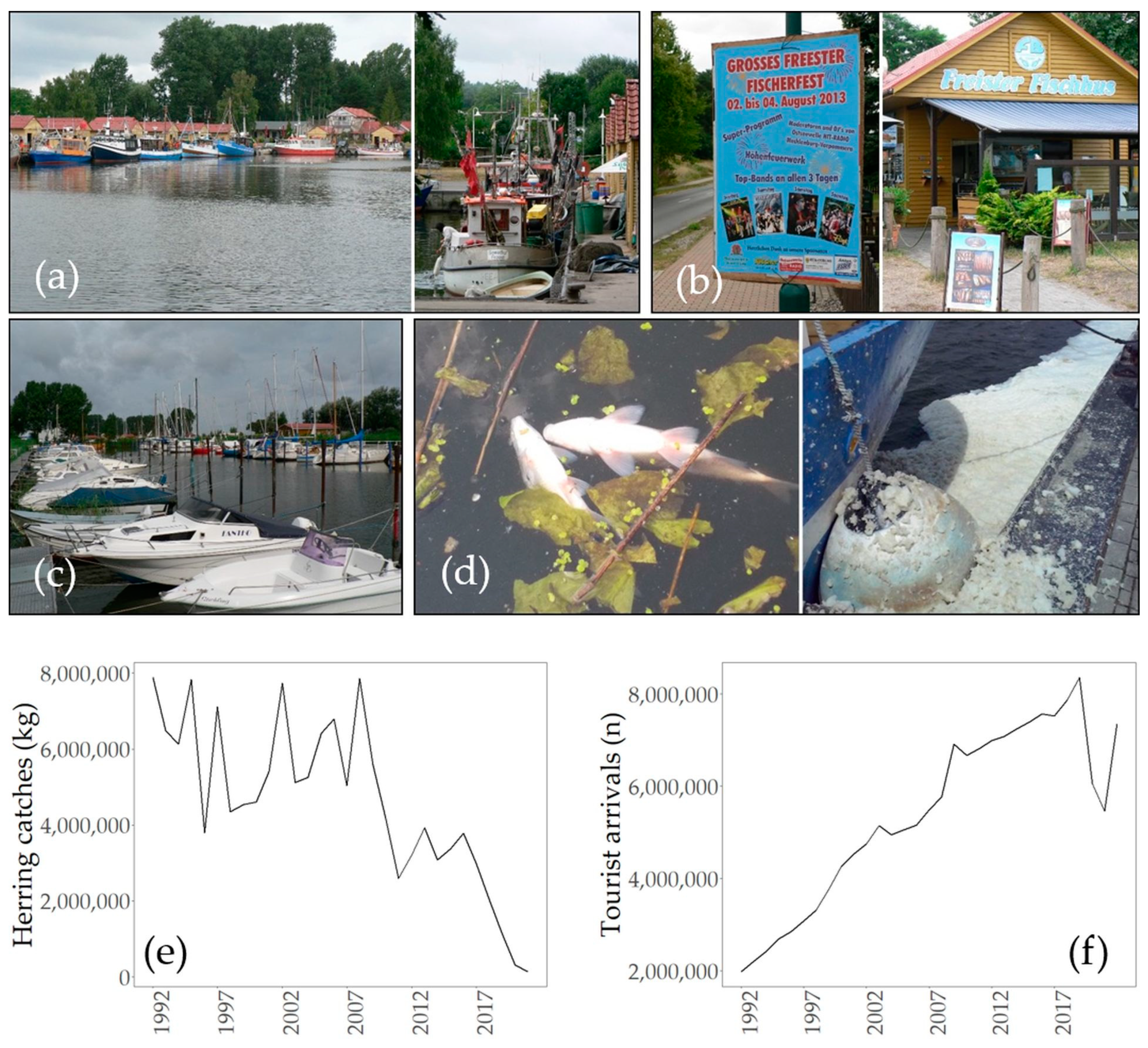 Sustainability 15 15732 g005