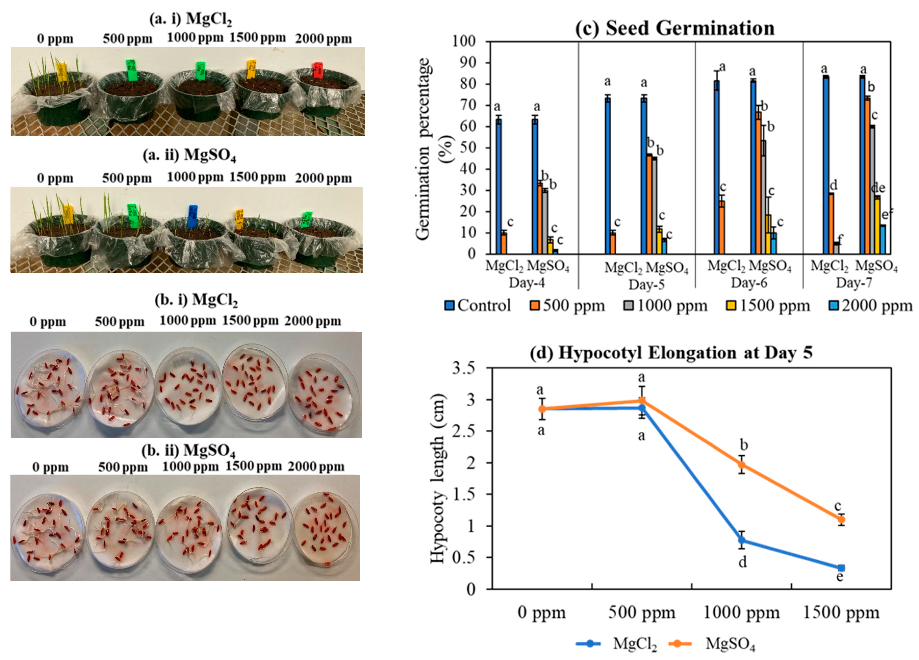 Sustainability 15 15741 g001 Sustainability 15 15741 g001