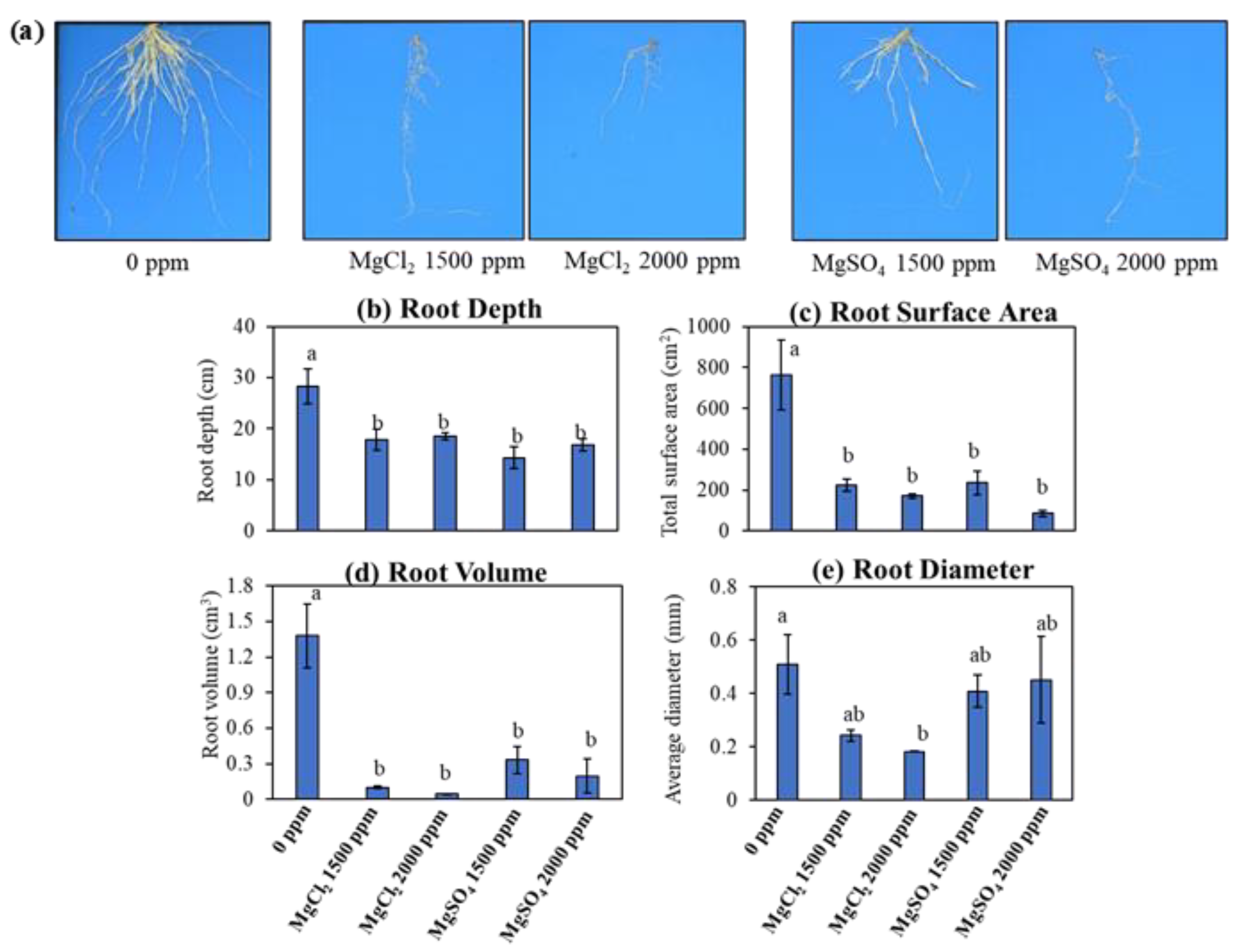 Sustainability 15 15741 g003 Sustainability 15 15741 g003