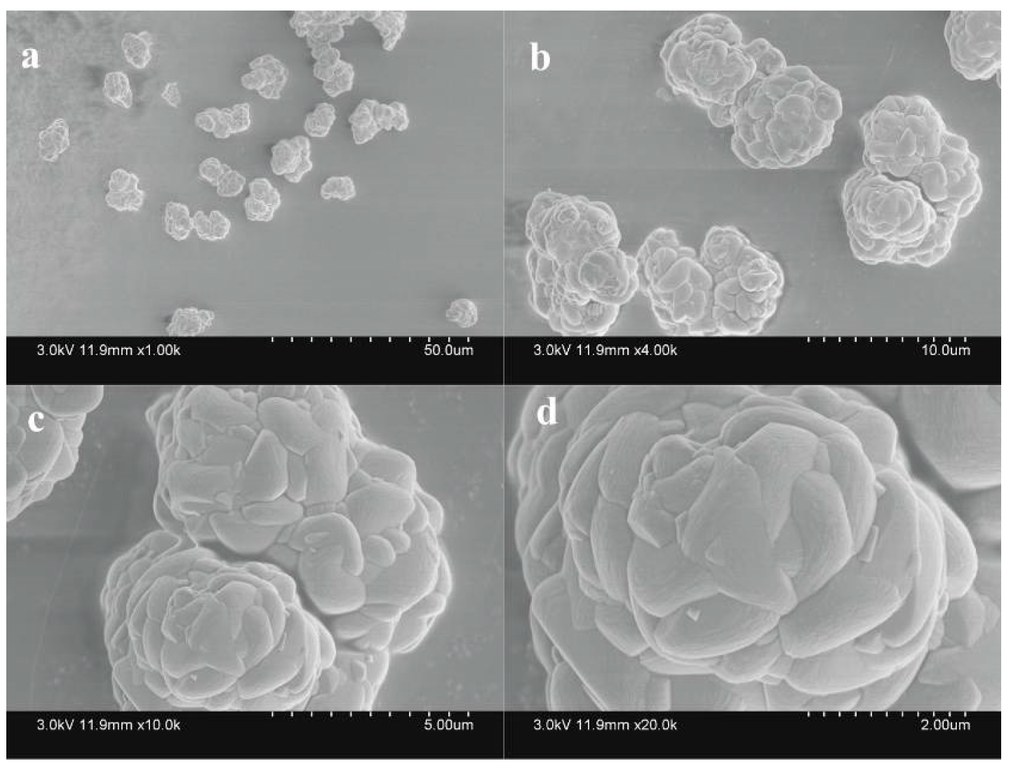 Sustainability 15 15765 g006