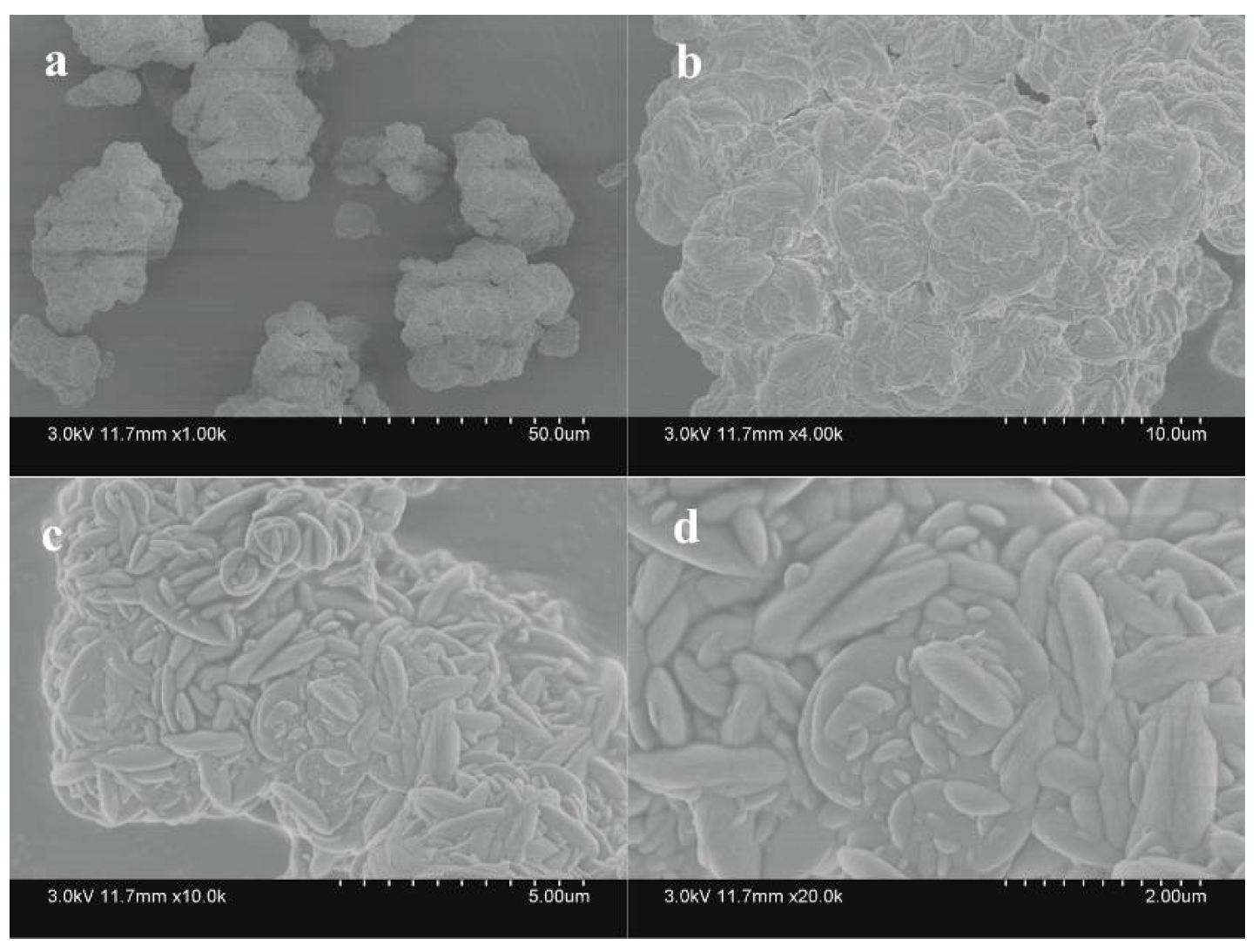 Sustainability 15 15765 g007