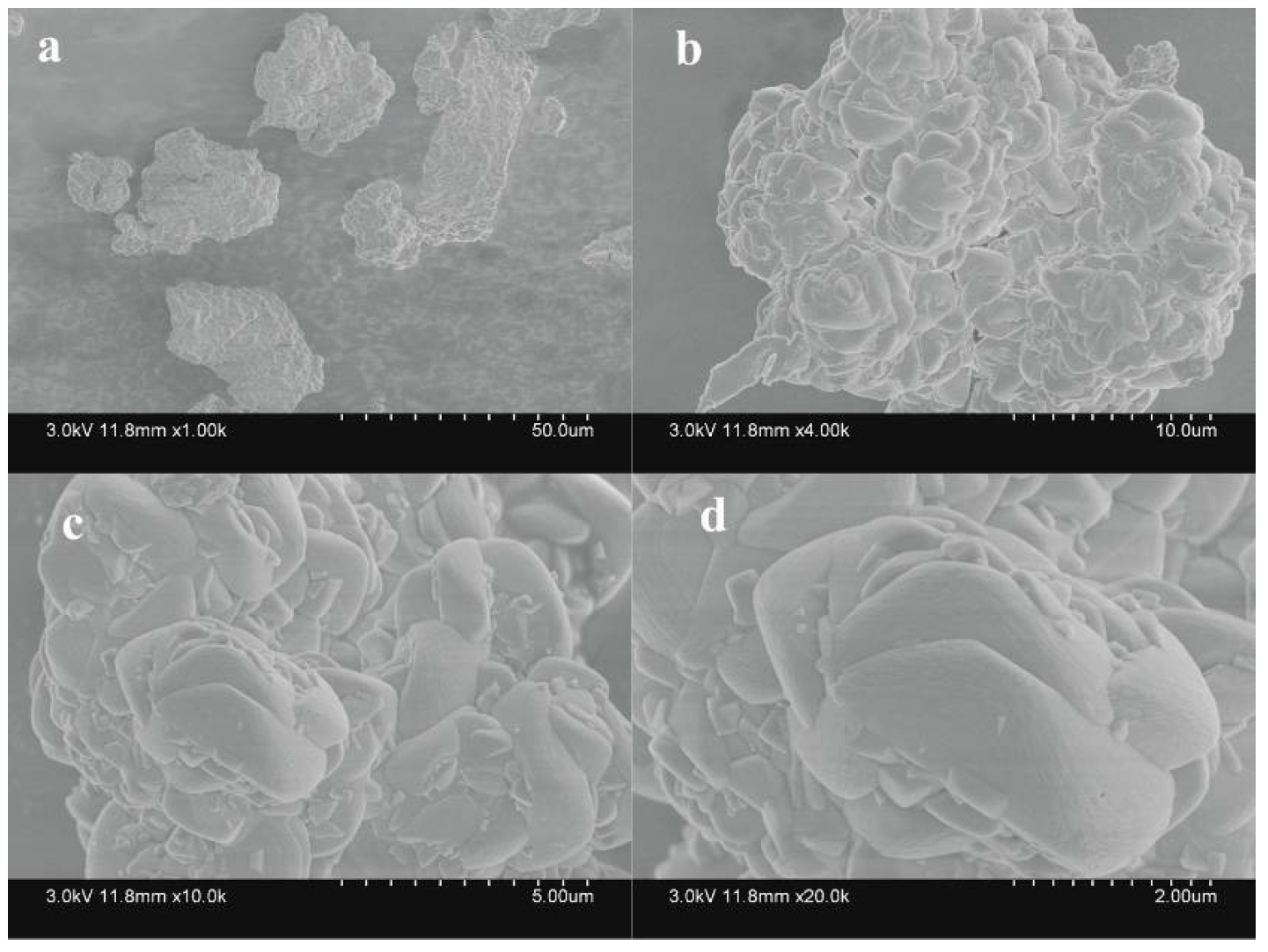Sustainability 15 15765 g008