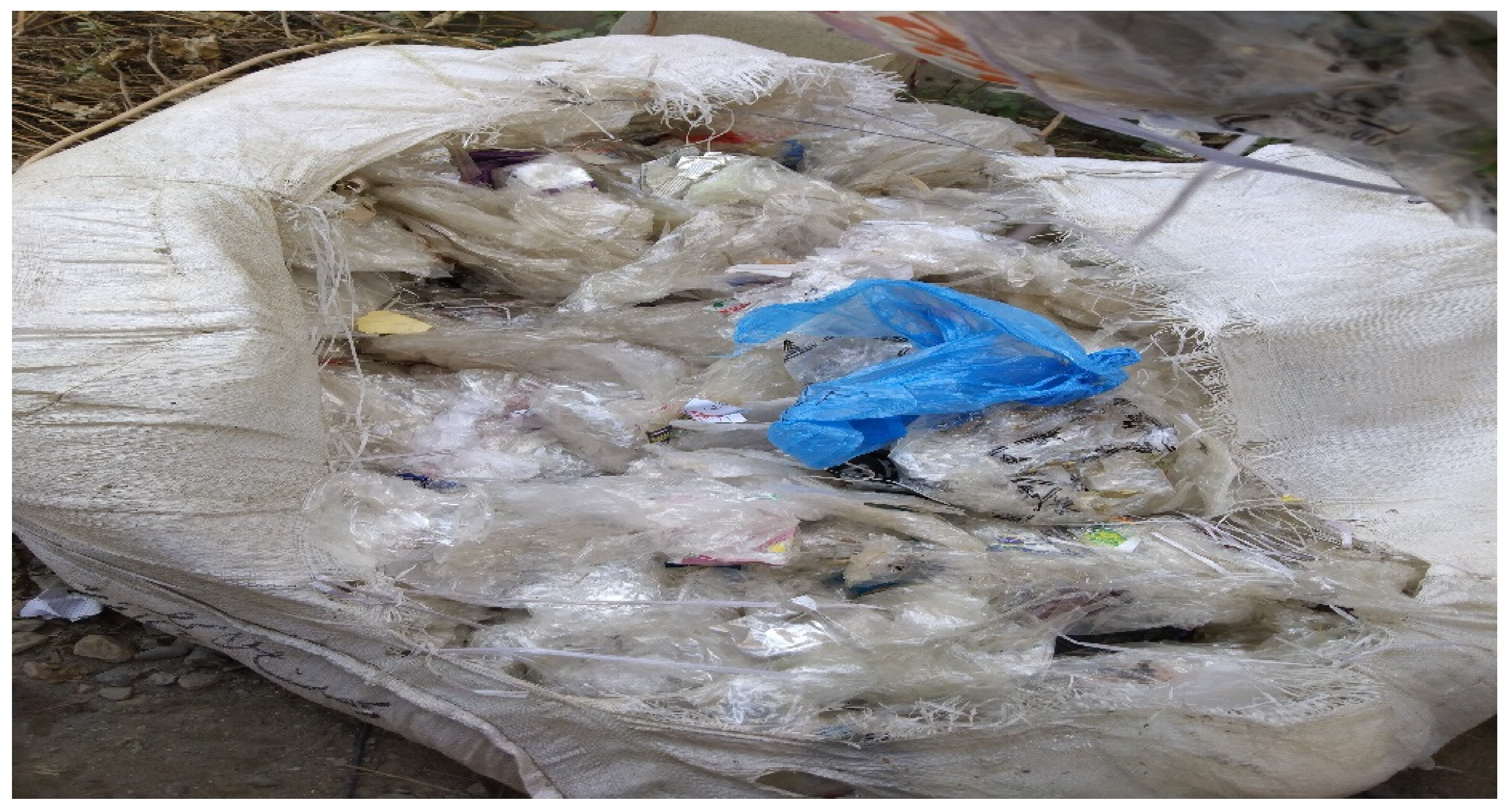 Sustainability 15 15801 g003