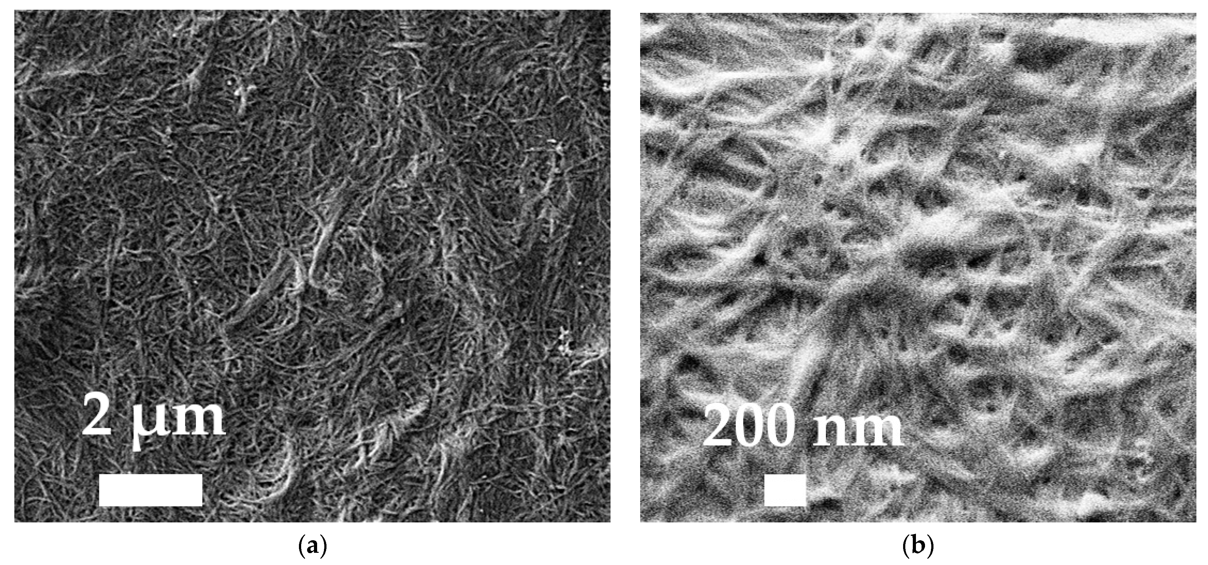 Sustainability 15 15817 g003