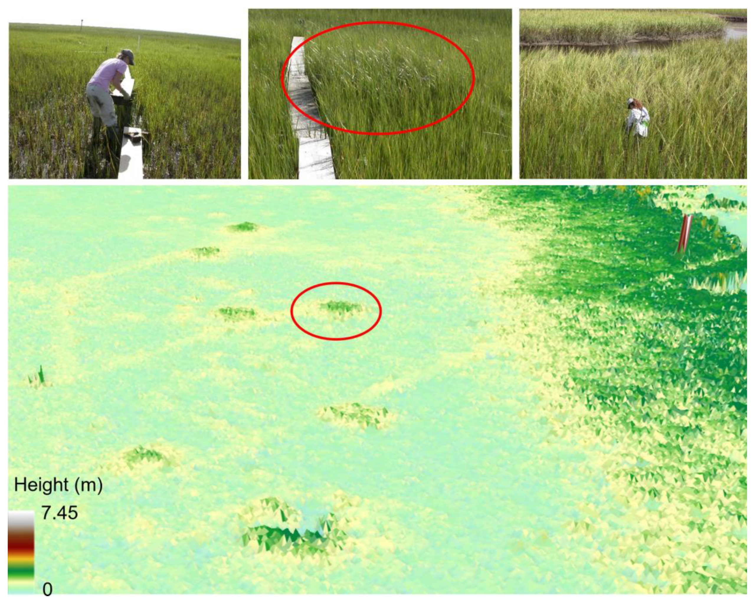 Sustainability 15 15823 g007