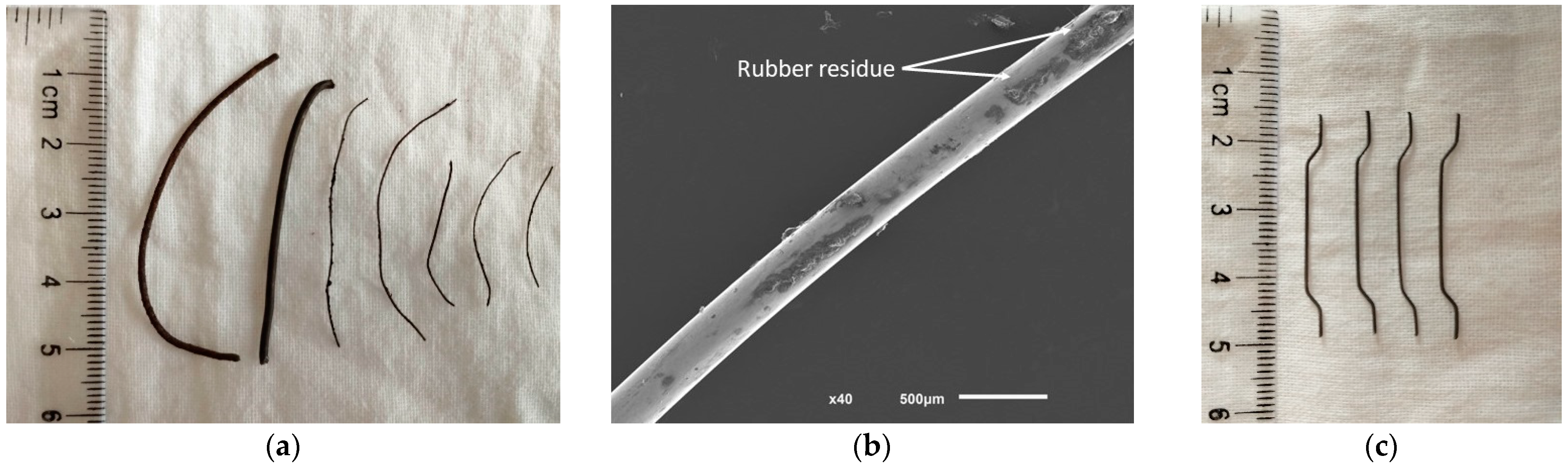 Sustainability 15 15856 g002