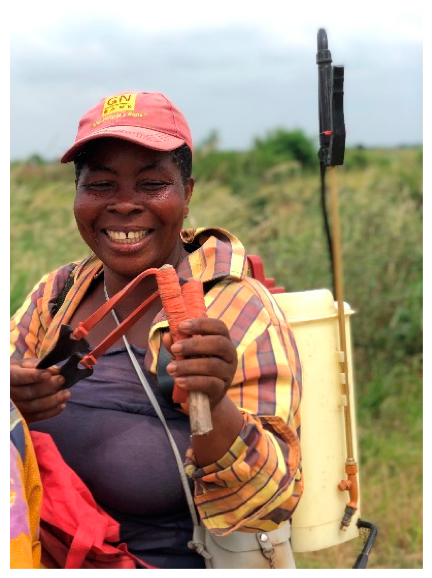 Sustainability 15 15888 g002