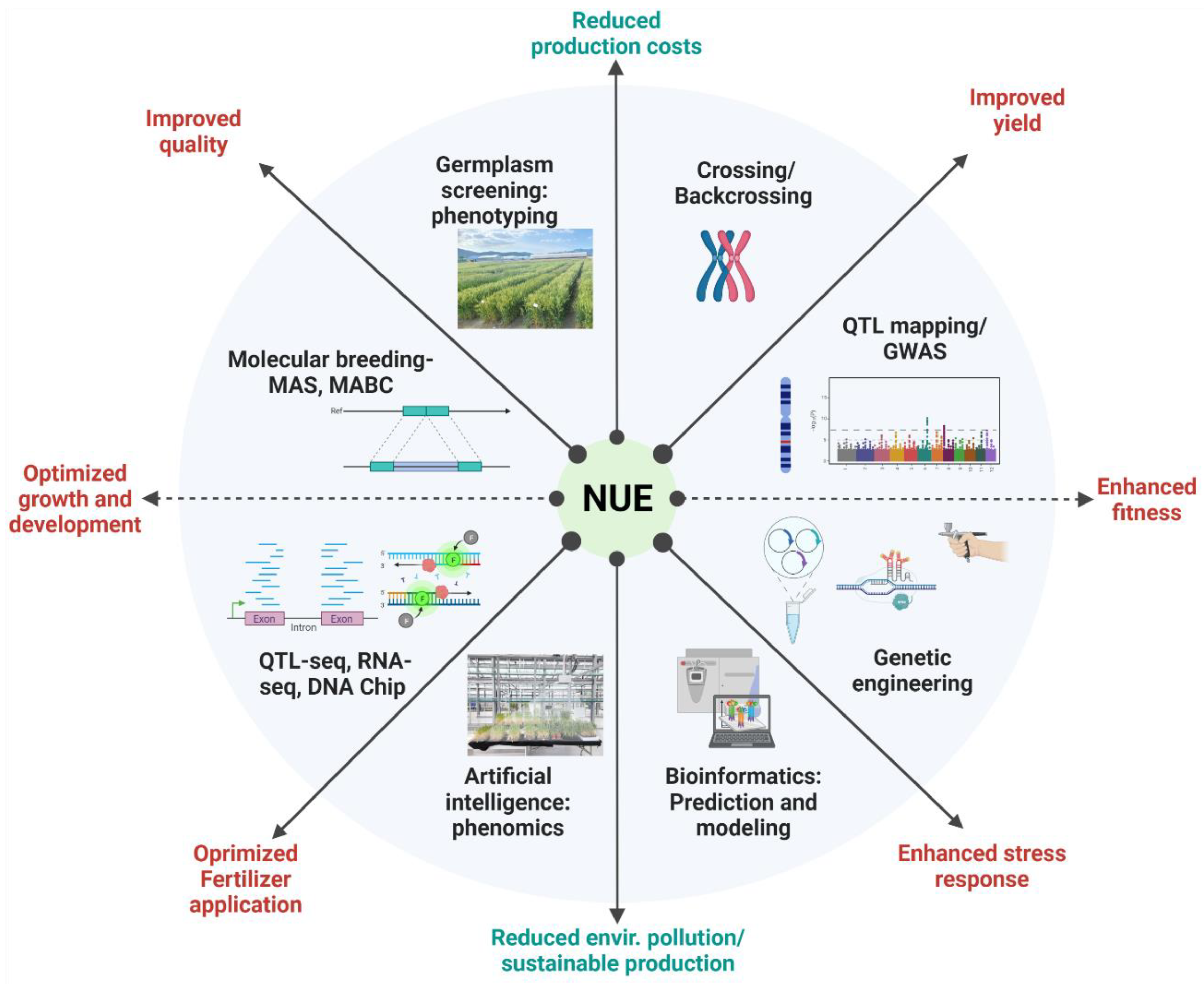 Sustainability 15 15889 g008